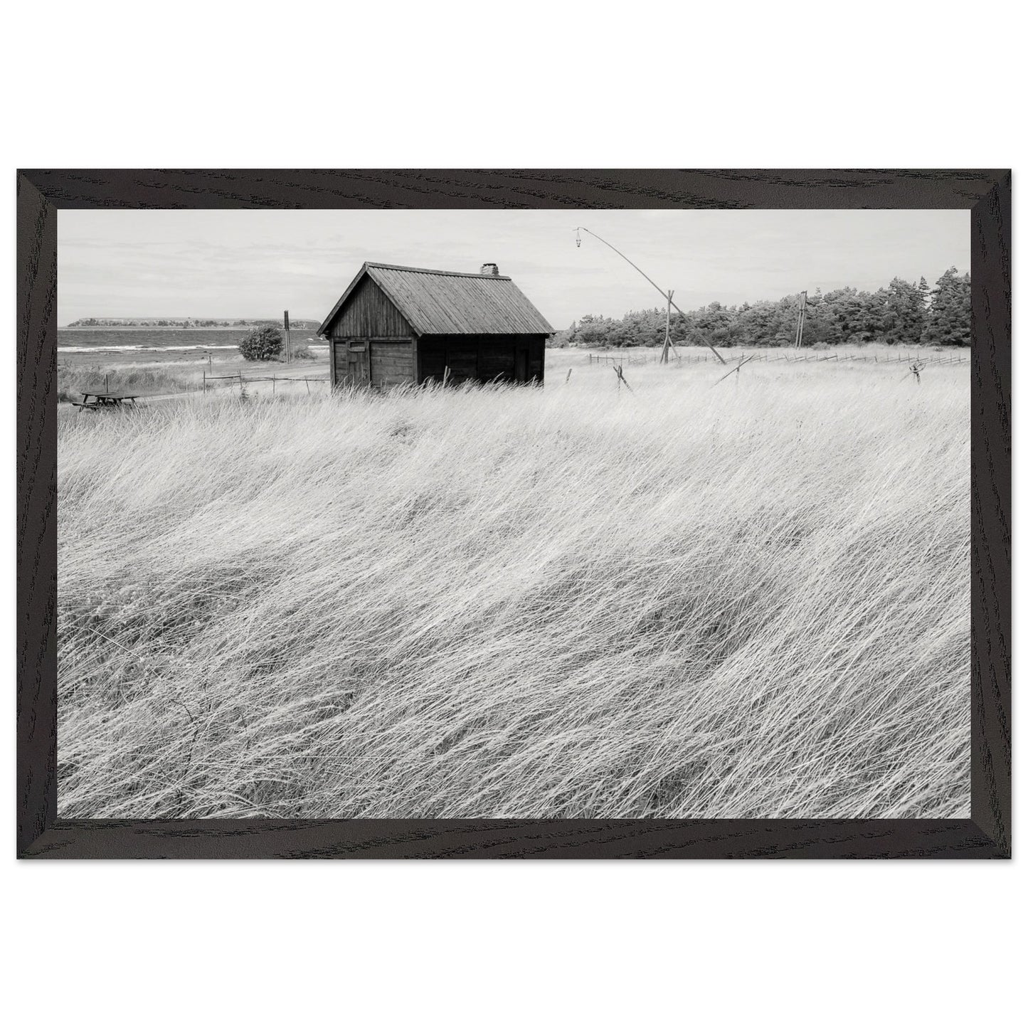 c3732900-9c62-47a6-b9e7-9553623a658f