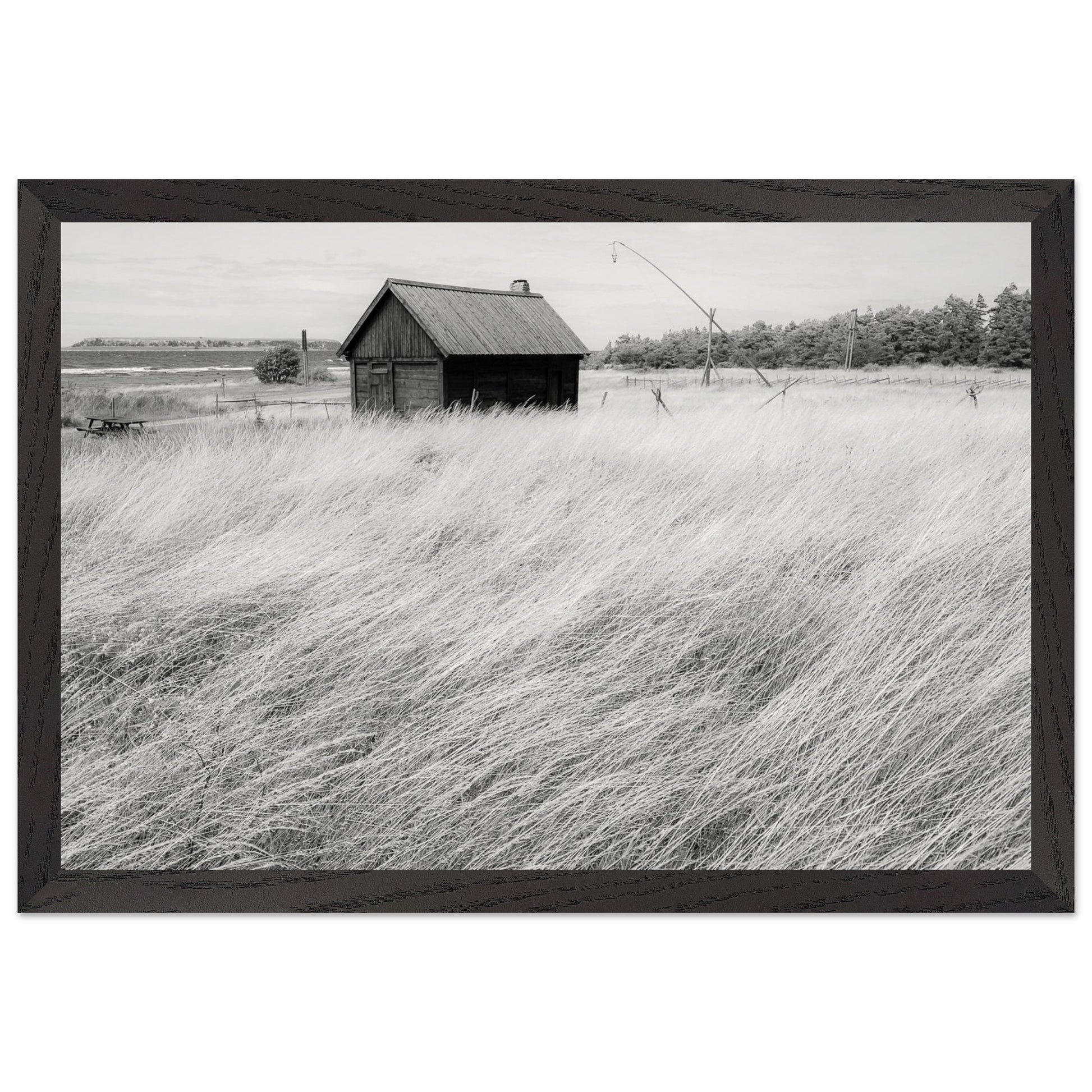 c3732900-9c62-47a6-b9e7-9553623a658f