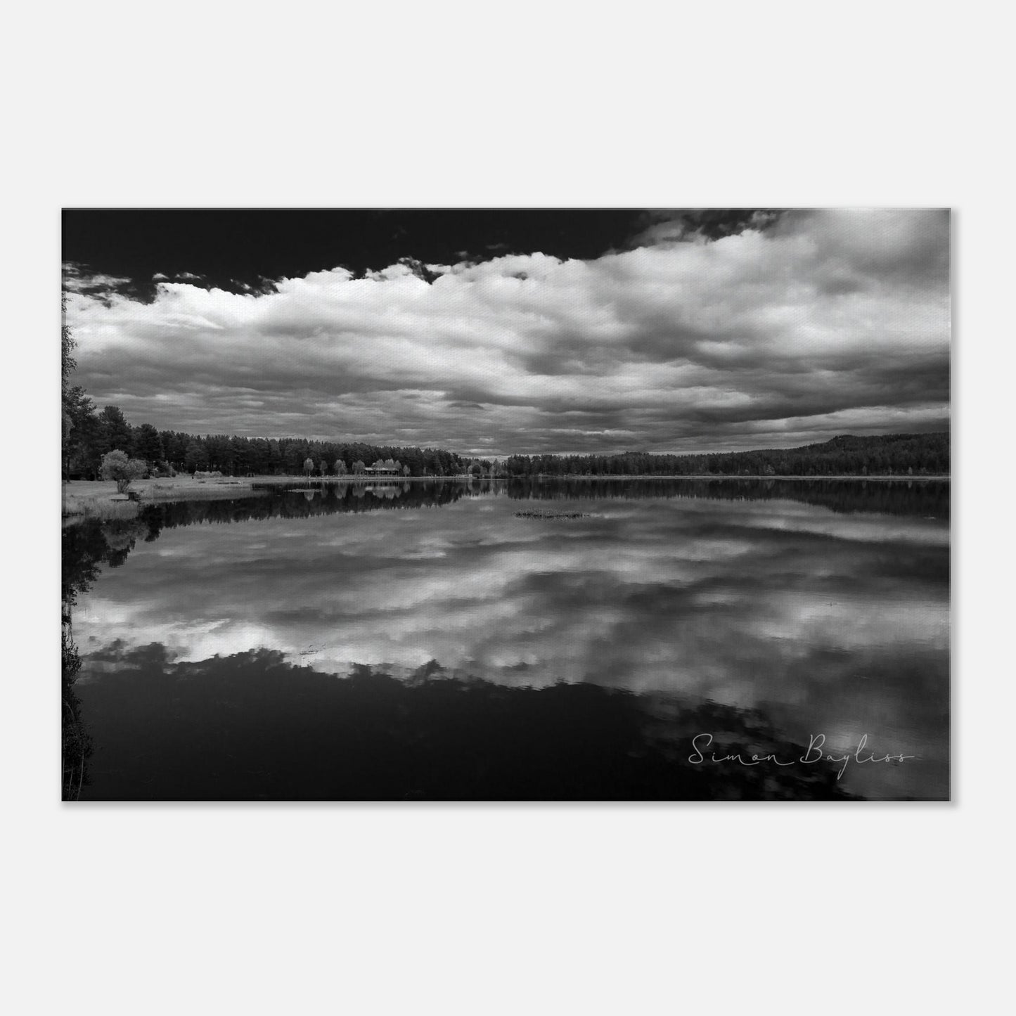 c4505141-6ad4-4982-9fbd-14e57214a15b