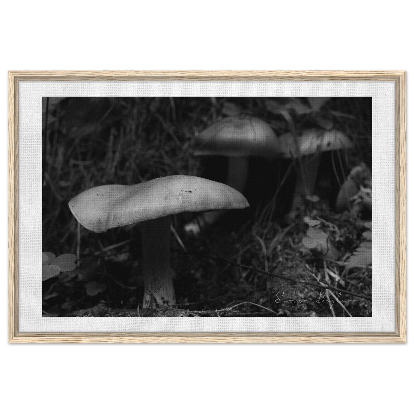 c48a0e93-d1b4-4fed-876e-d4cab9894ceb