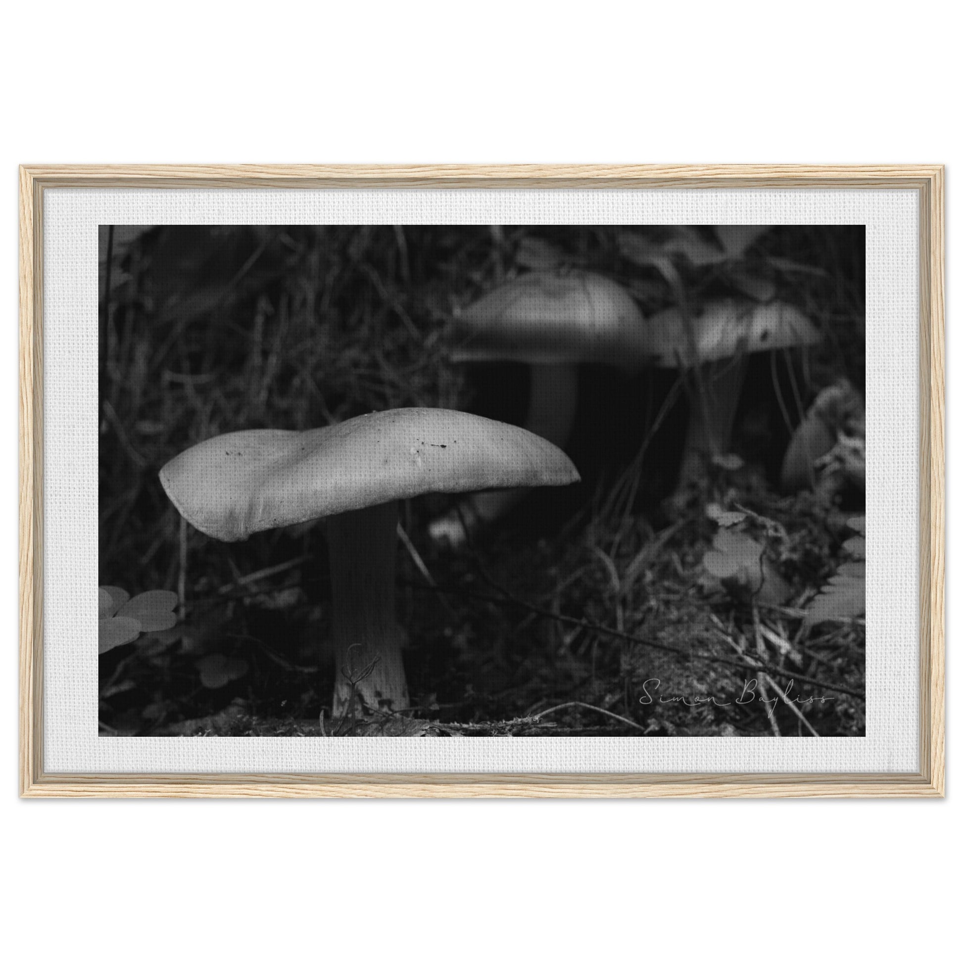 c48a0e93-d1b4-4fed-876e-d4cab9894ceb