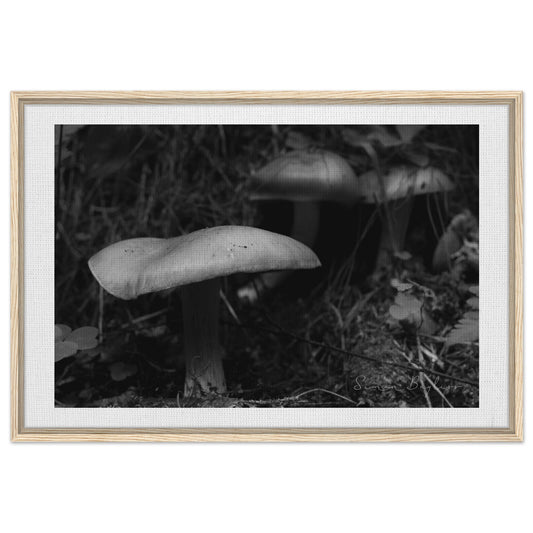 c48a0e93-d1b4-4fed-876e-d4cab9894ceb