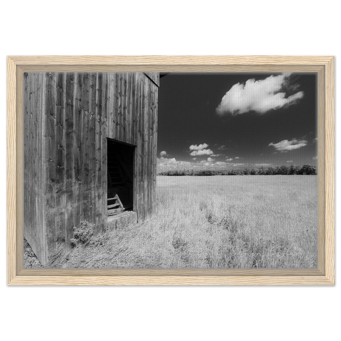 c4924230-c915-4995-945f-5c6f5d1afd4b