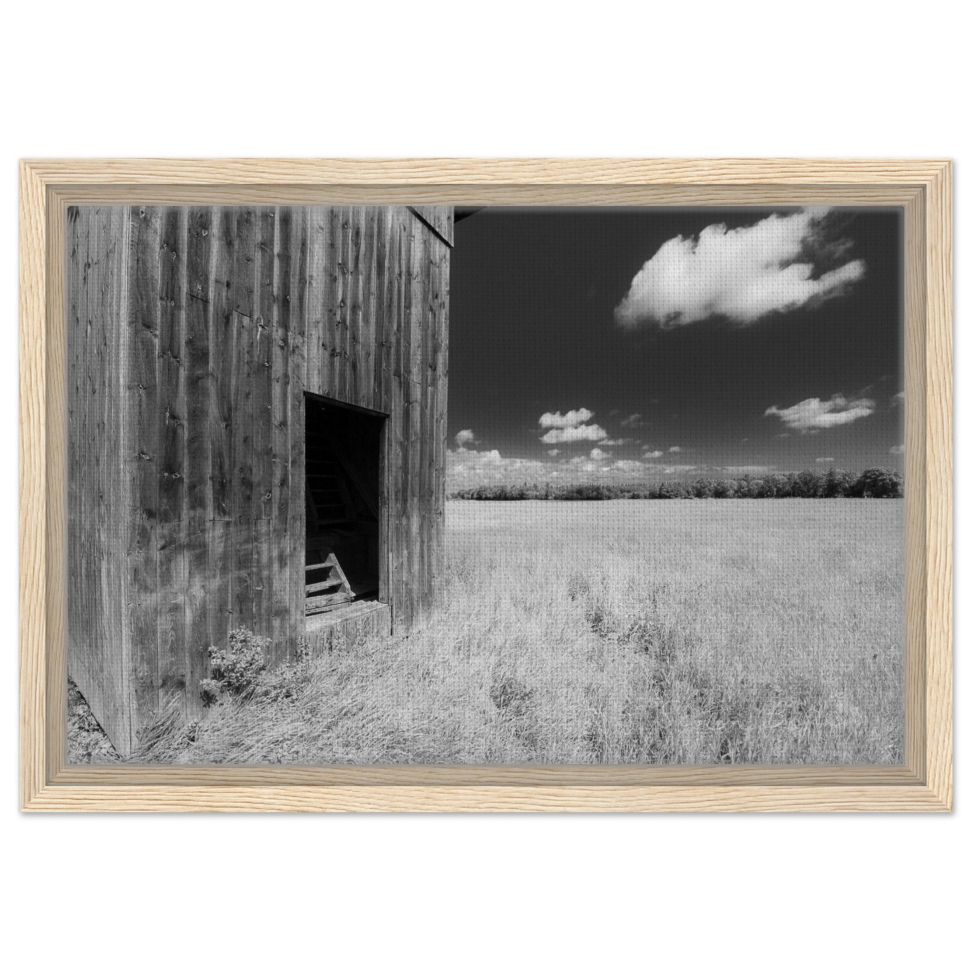 c4924230-c915-4995-945f-5c6f5d1afd4b