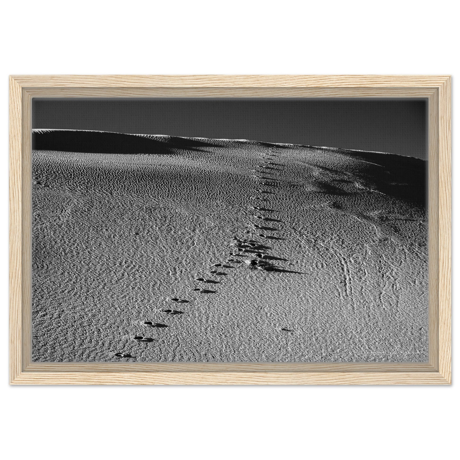 c5c5c13e-9157-4076-9f43-397ae49adf59