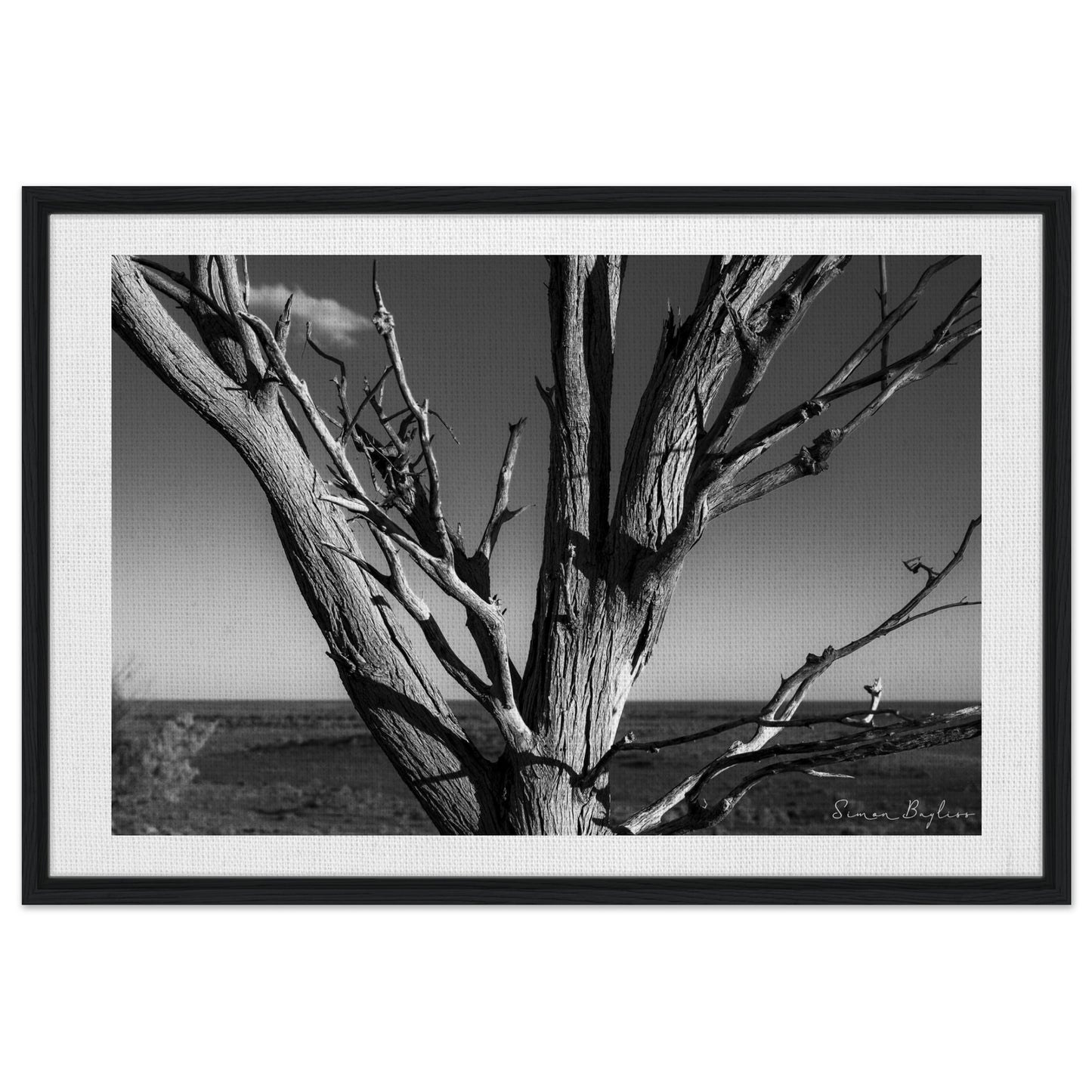 c672beef-2aa4-4f36-a245-5492b6215d39