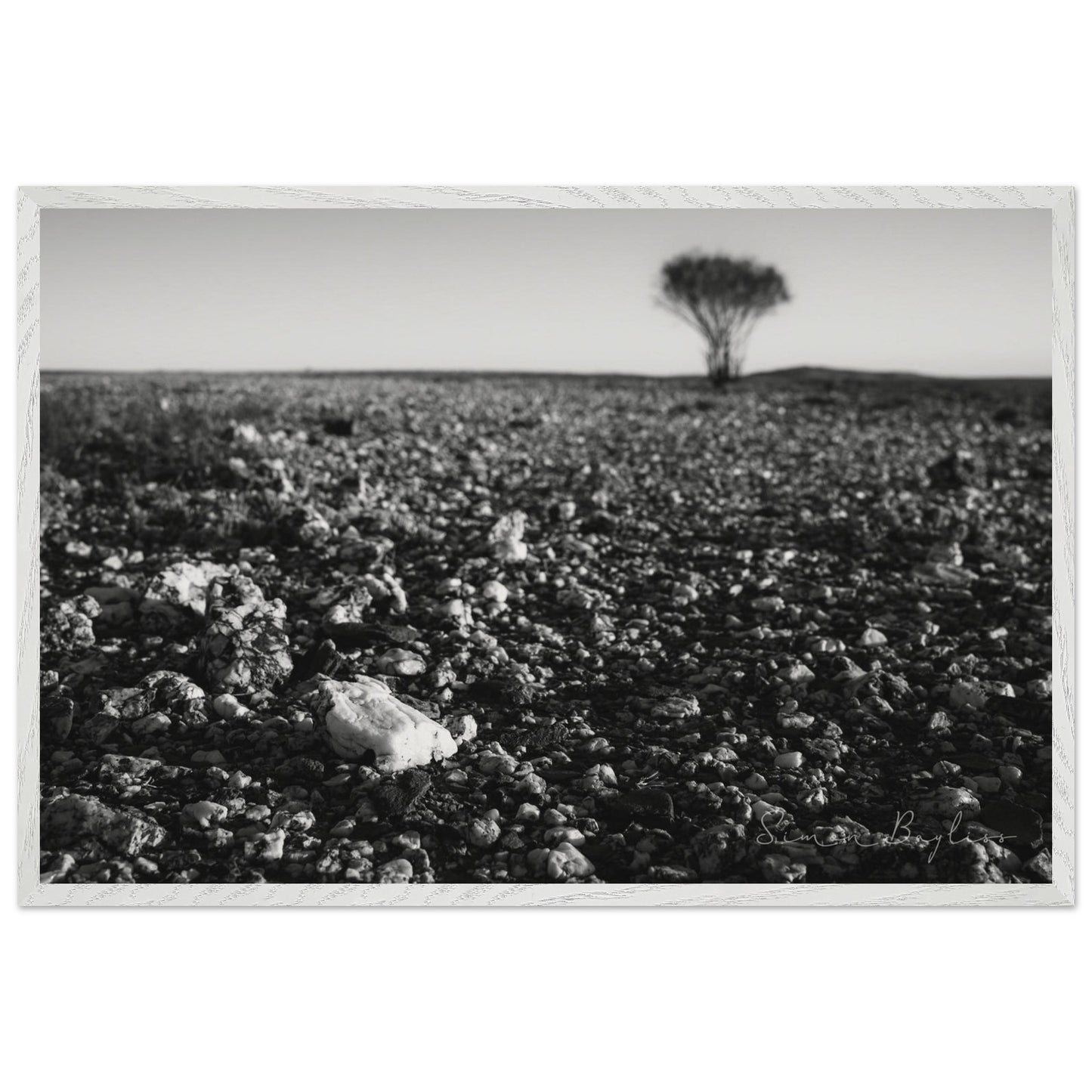 c68681fd-e755-4613-ae77-ed9c15dbdf0e