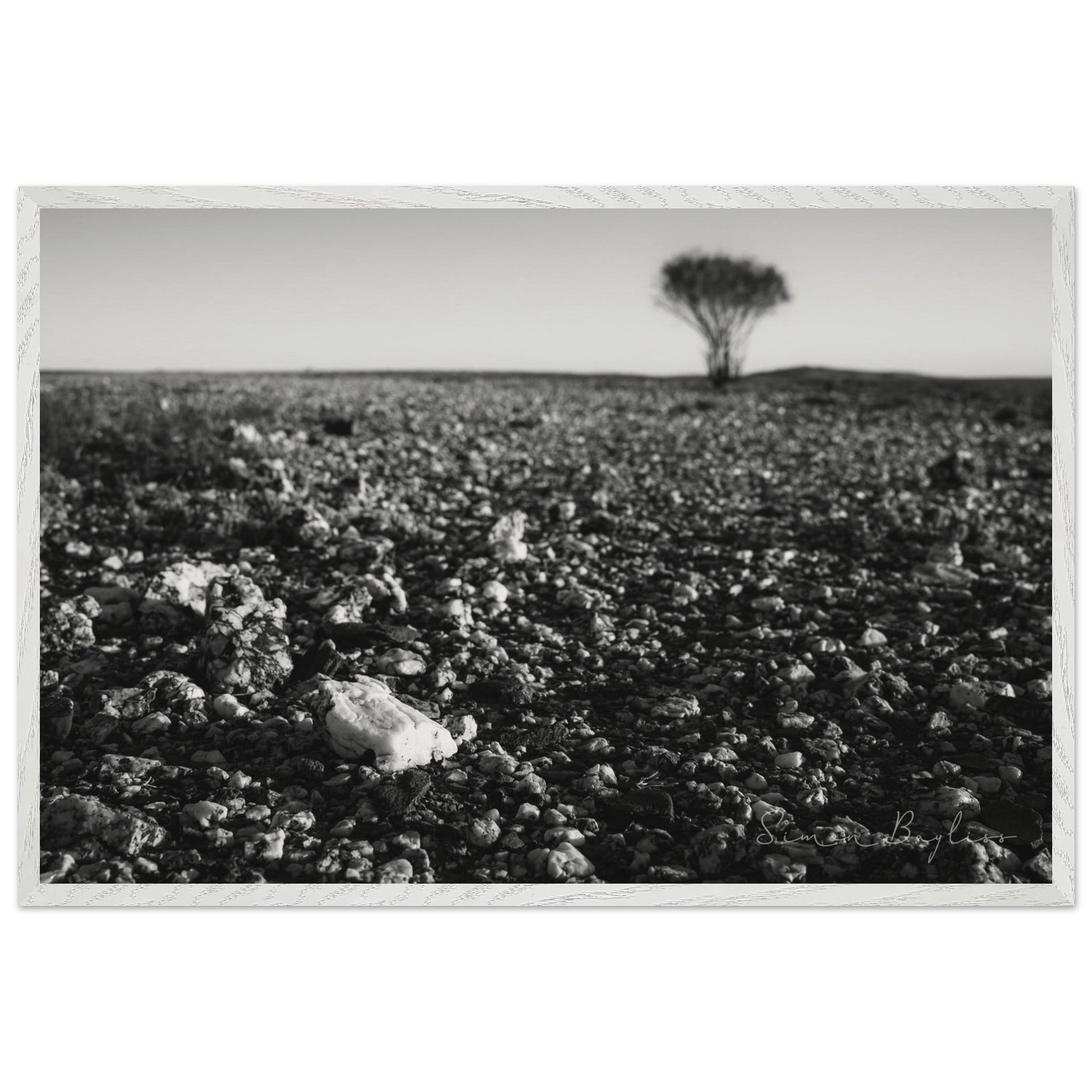 c68681fd-e755-4613-ae77-ed9c15dbdf0e