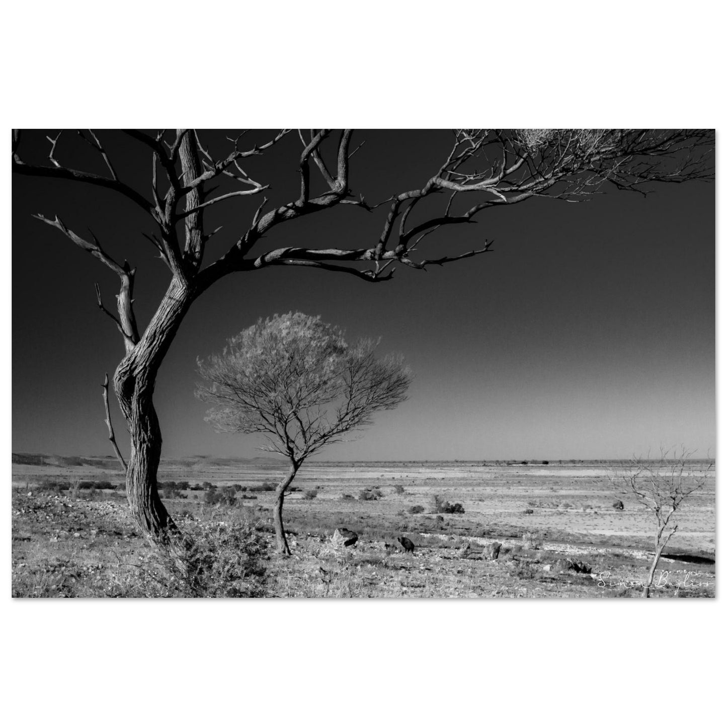 c7335171-9c2e-4dd9-b5f5-53f5ba55bc29