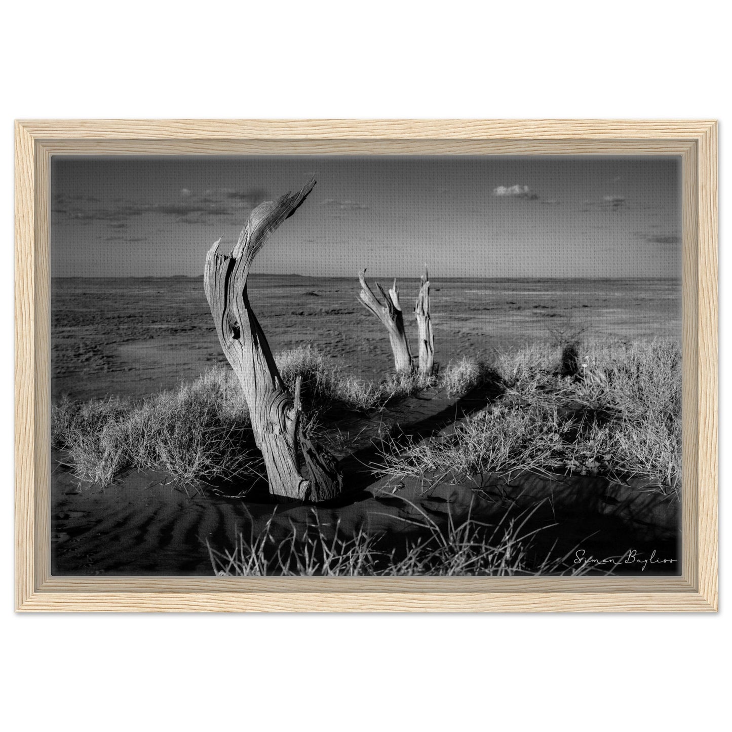 c79a438b-7df2-4336-b71a-00edc969608d