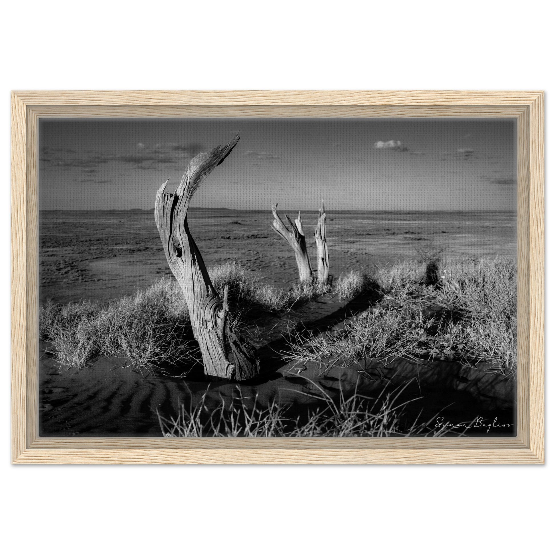 c79a438b-7df2-4336-b71a-00edc969608d