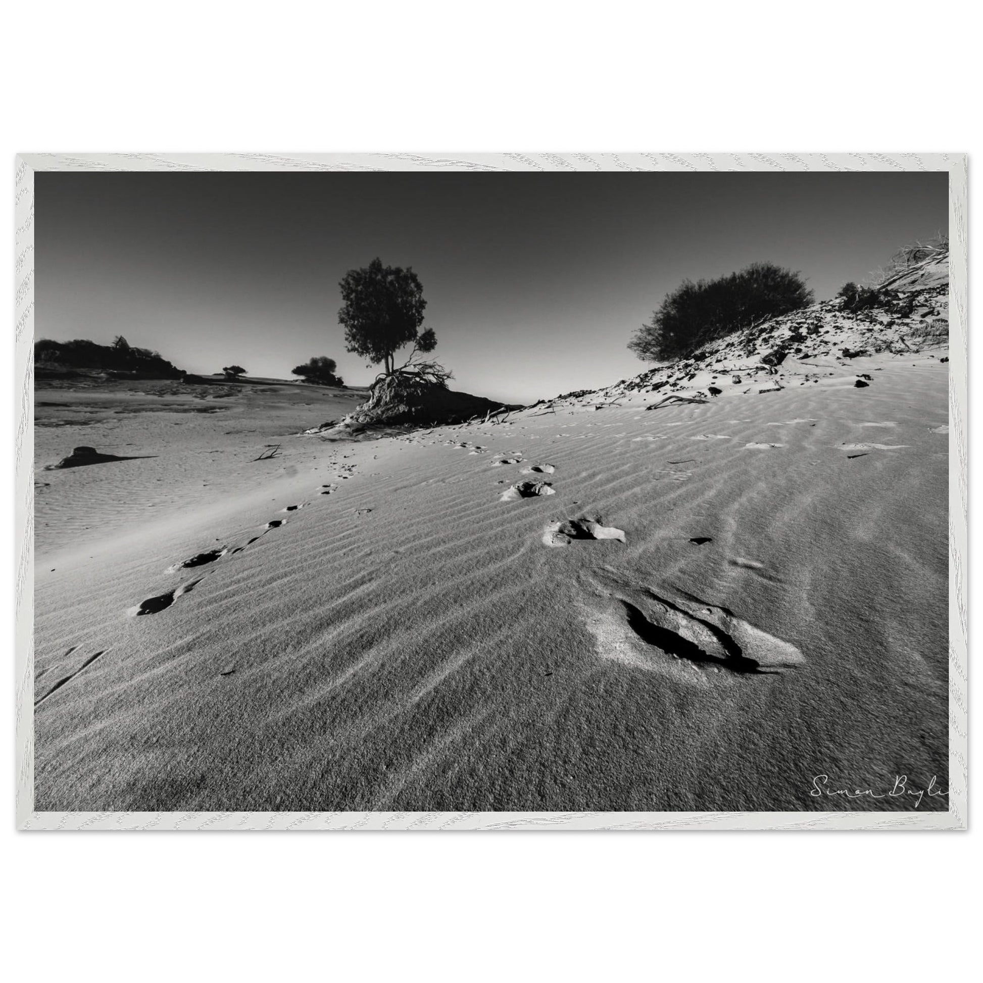 c822c2b8-09cc-4a92-bb84-e8e0954487df