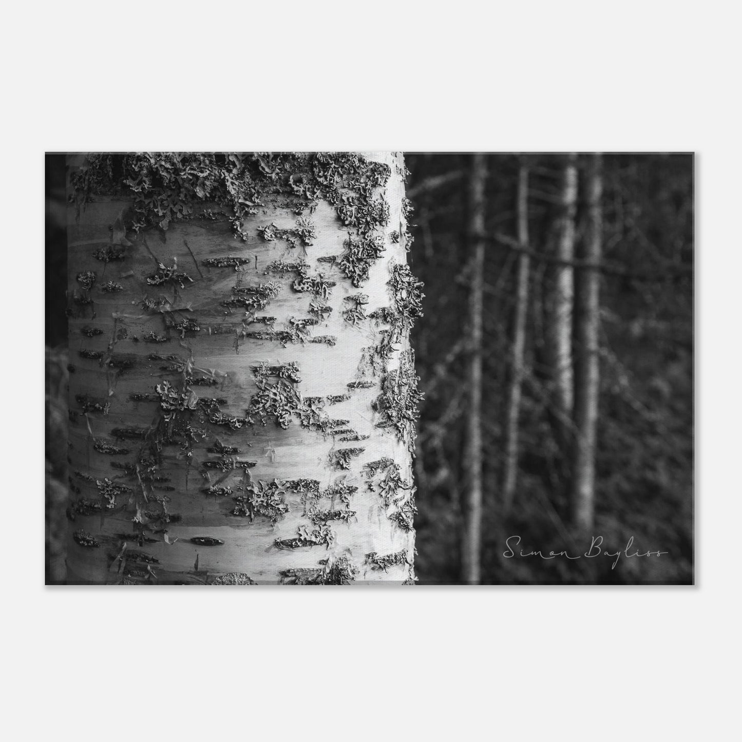 c84a8650-e5e8-4b81-9262-b8d23f16c2f2