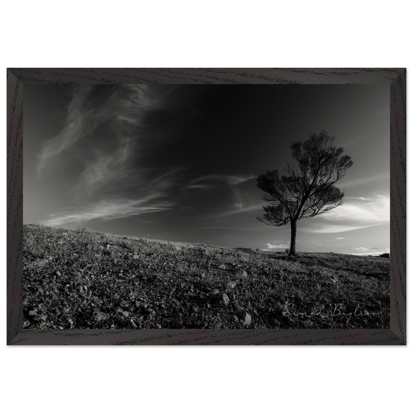 c8b0667a-947c-43d5-8391-398c903b7811