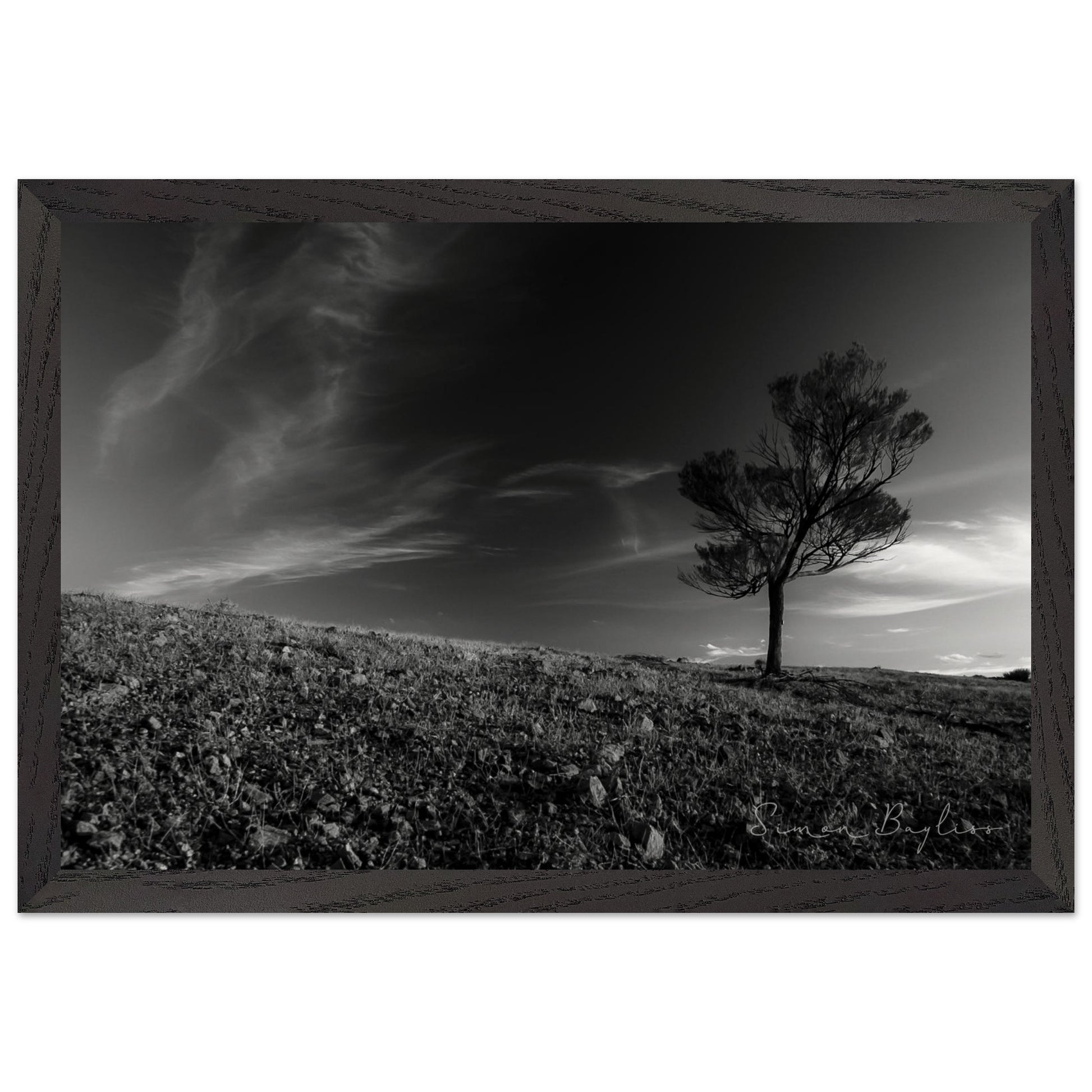 c8b0667a-947c-43d5-8391-398c903b7811