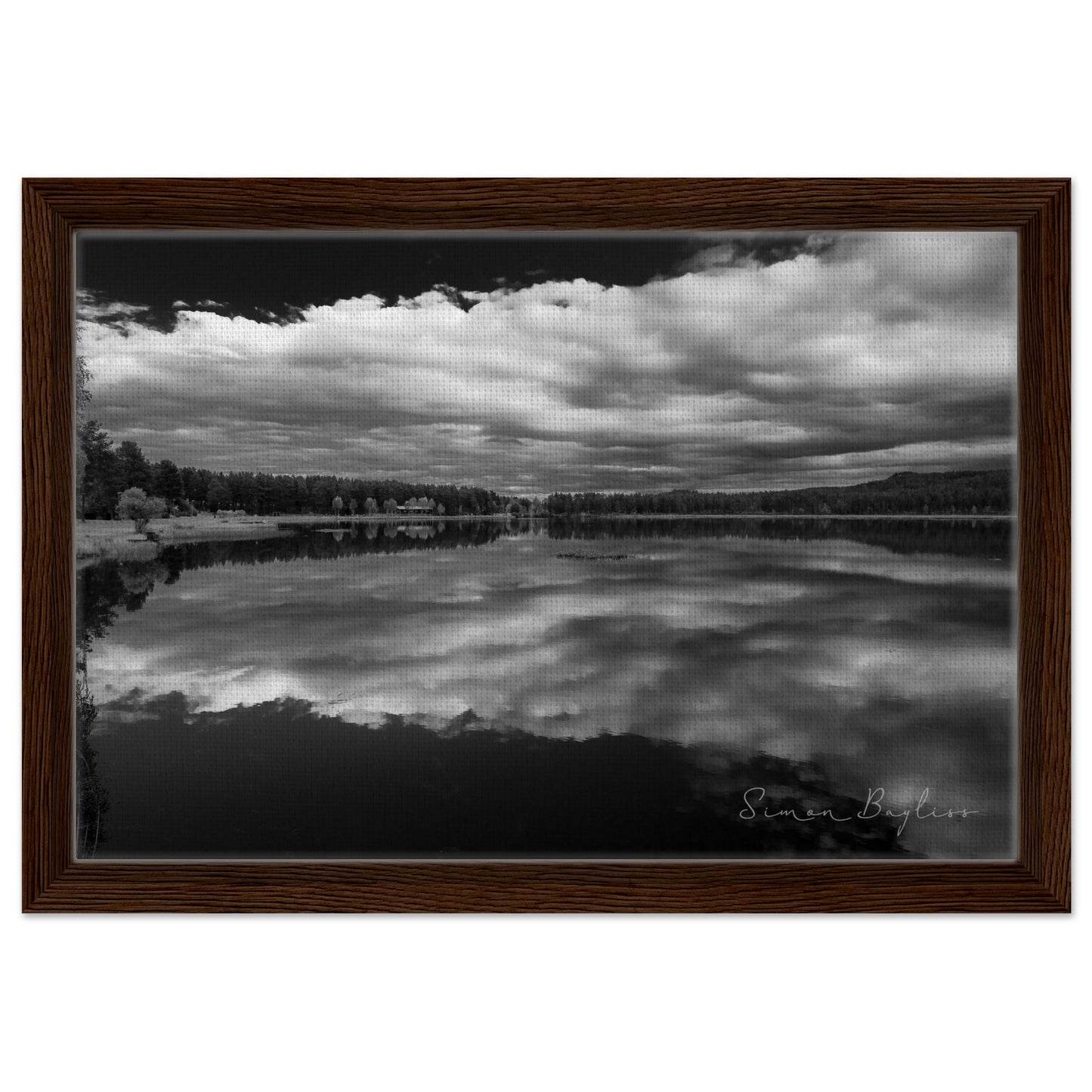 c8e9958d-742f-4b21-9b4f-be7c3cf09484