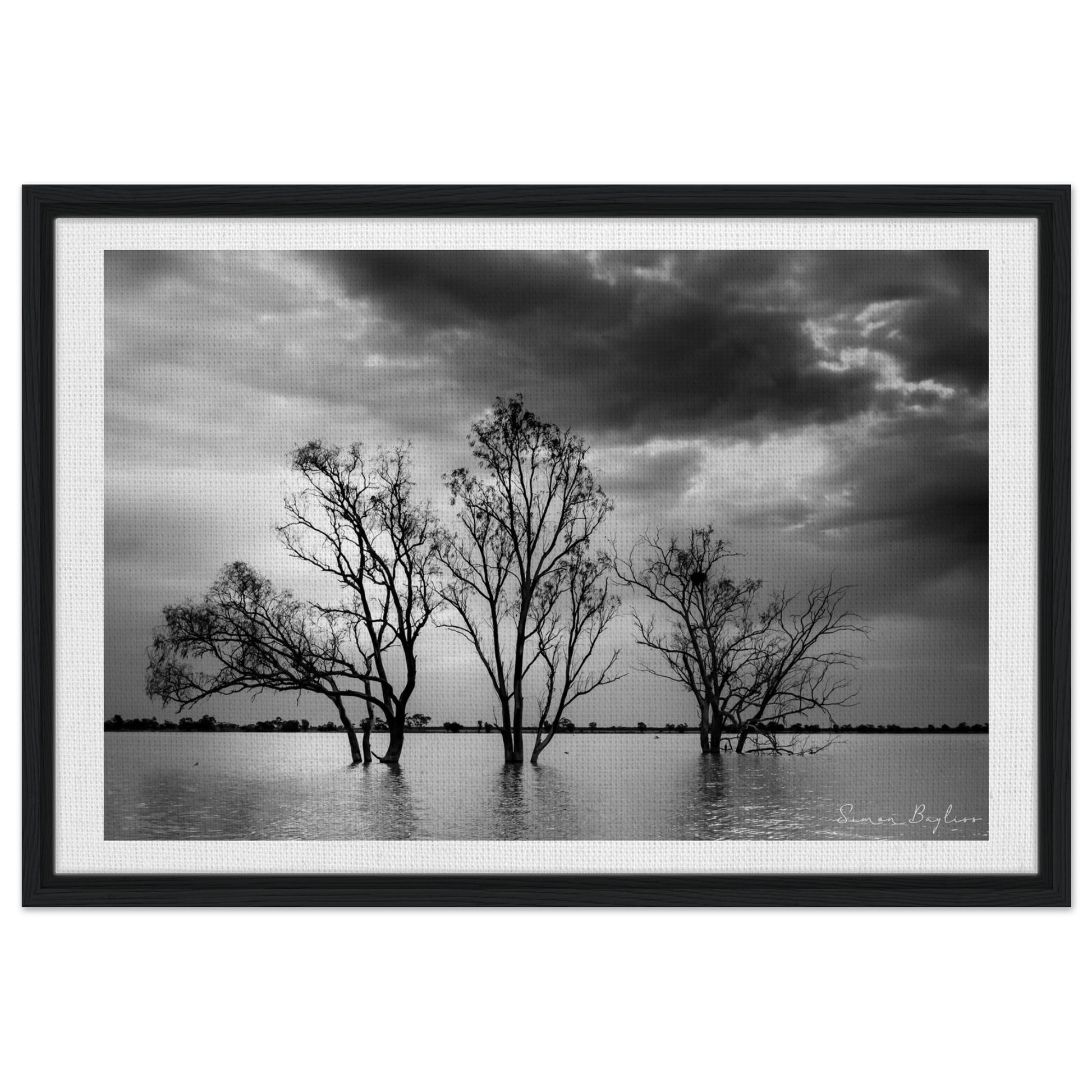 c993167d-6f13-4aae-bf9d-bb885411ddad