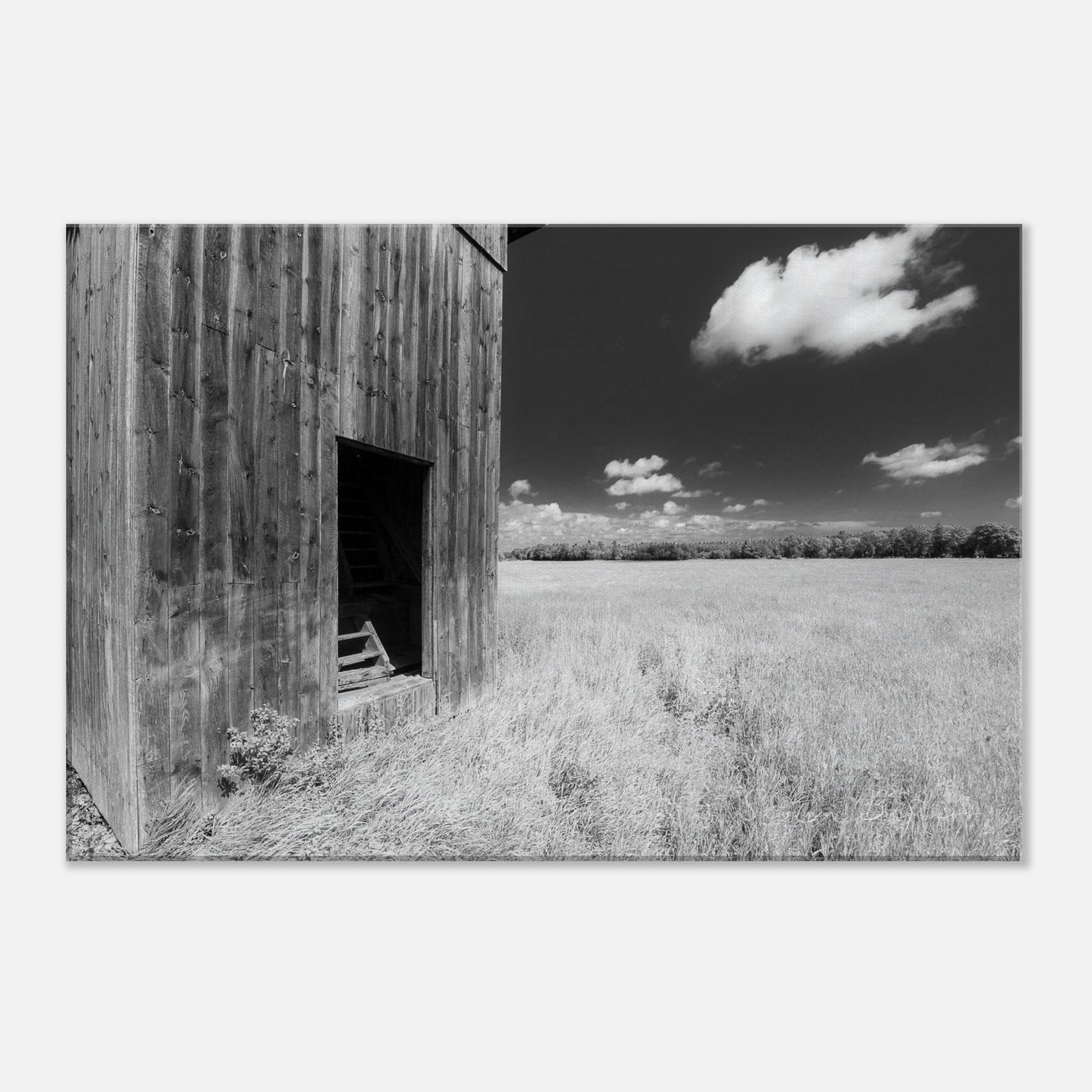 c9a28c13-164a-422e-bd4b-e75f560335e0