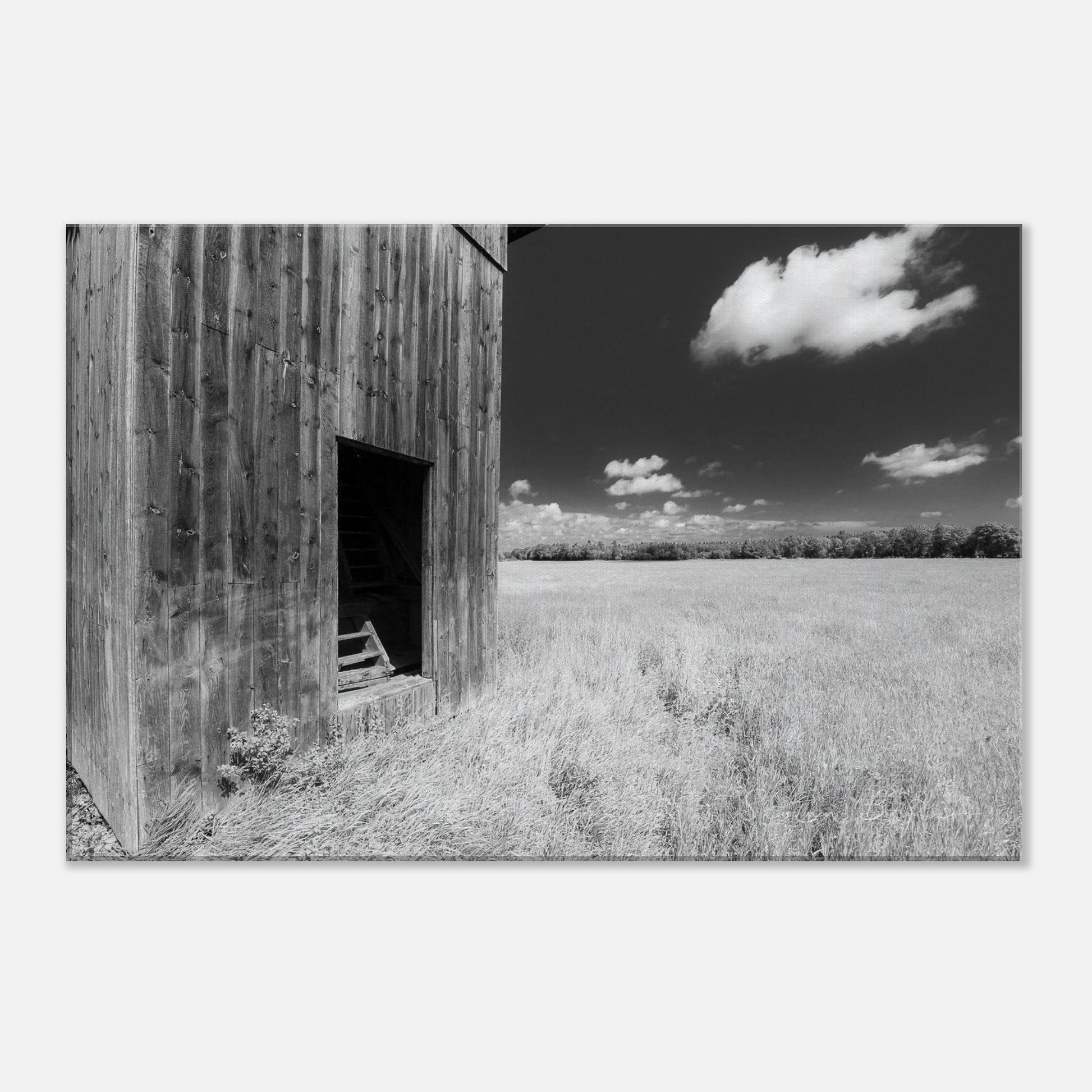 c9a28c13-164a-422e-bd4b-e75f560335e0