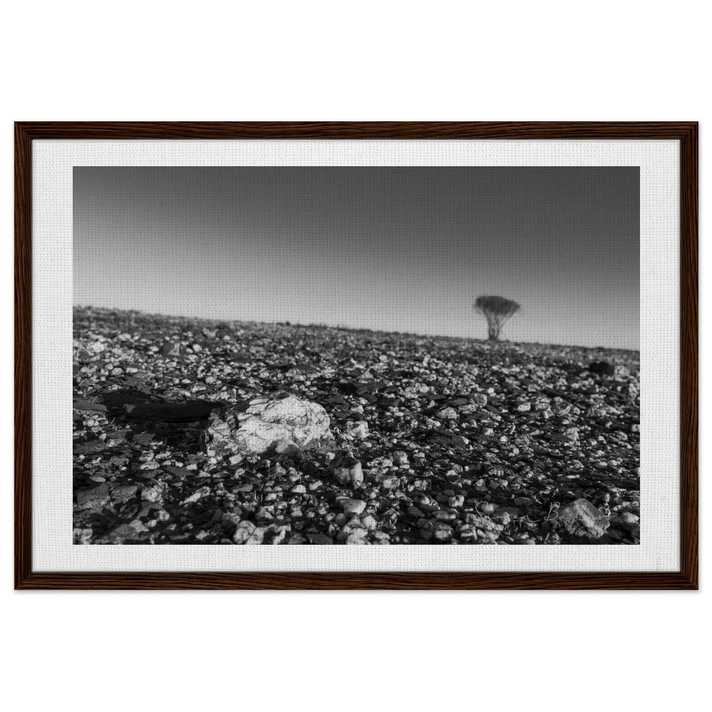 c9a460cf-b887-4c5d-ba41-baa4cc654136