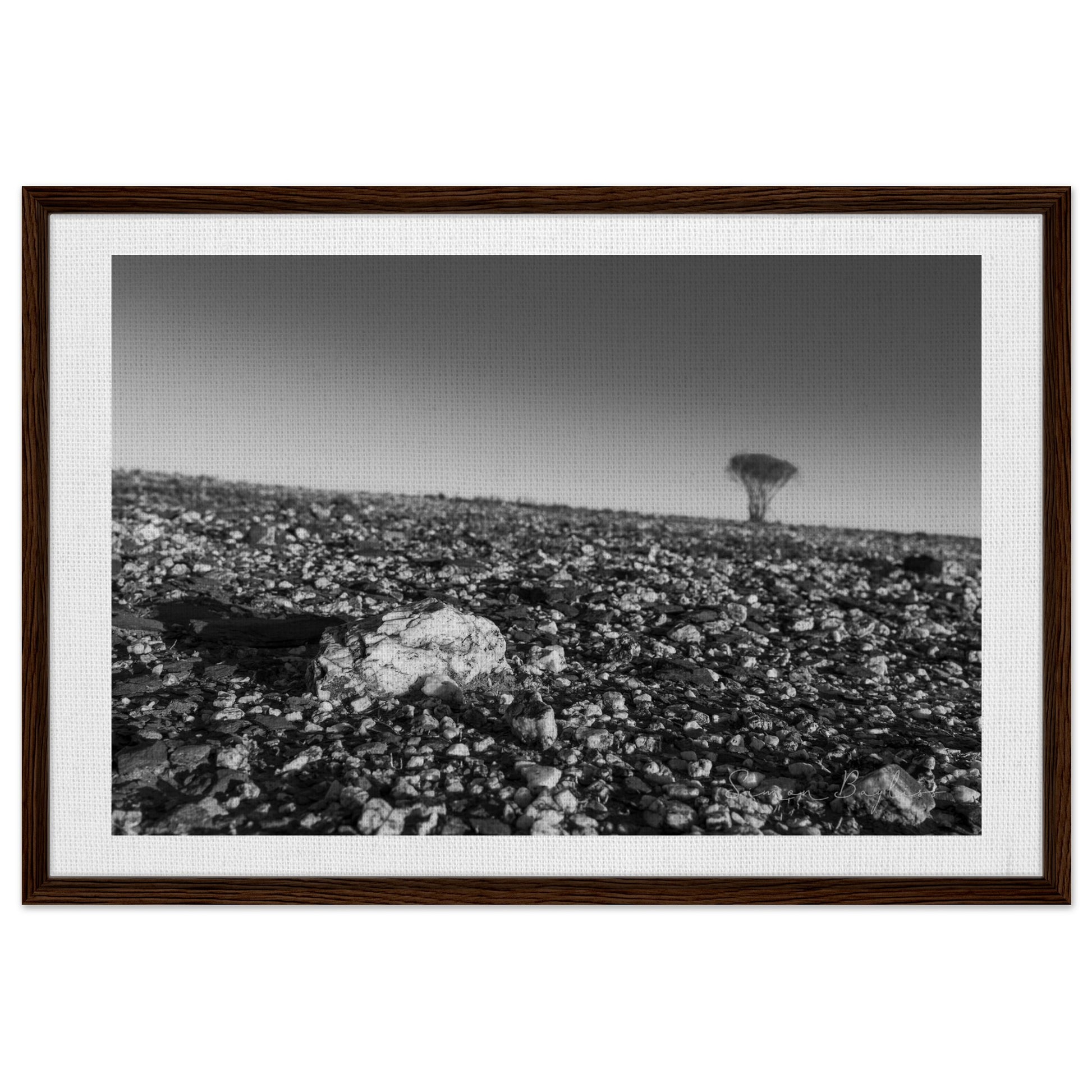 c9a460cf-b887-4c5d-ba41-baa4cc654136