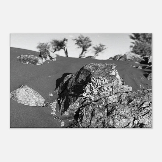 c9e203a4-ee44-46f2-bac0-58b44ebf4f99