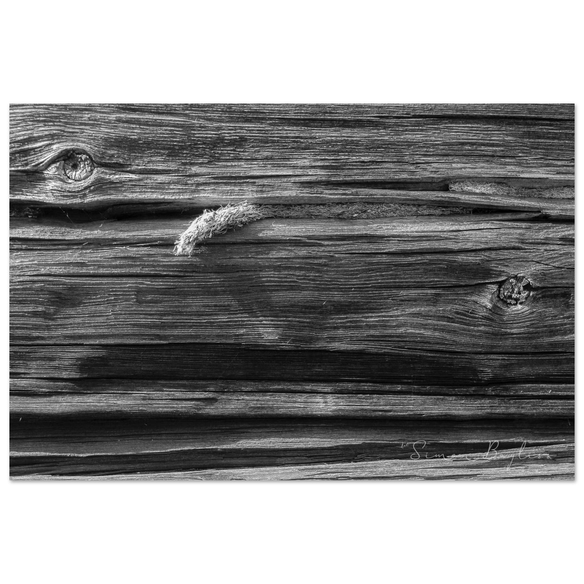 ca1f0888-527e-4d3d-af50-f7a417885724