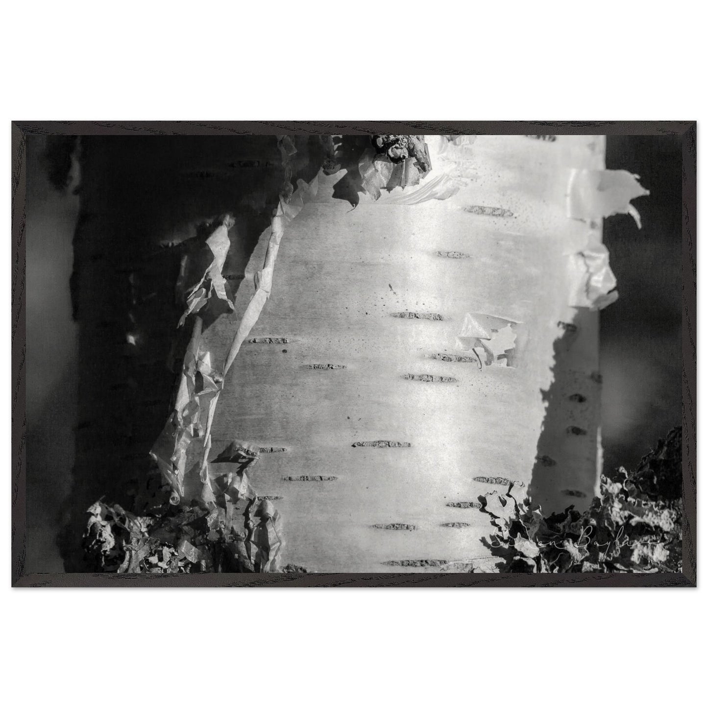 ca3b7eb3-4b55-4aaa-8842-50446e552a64