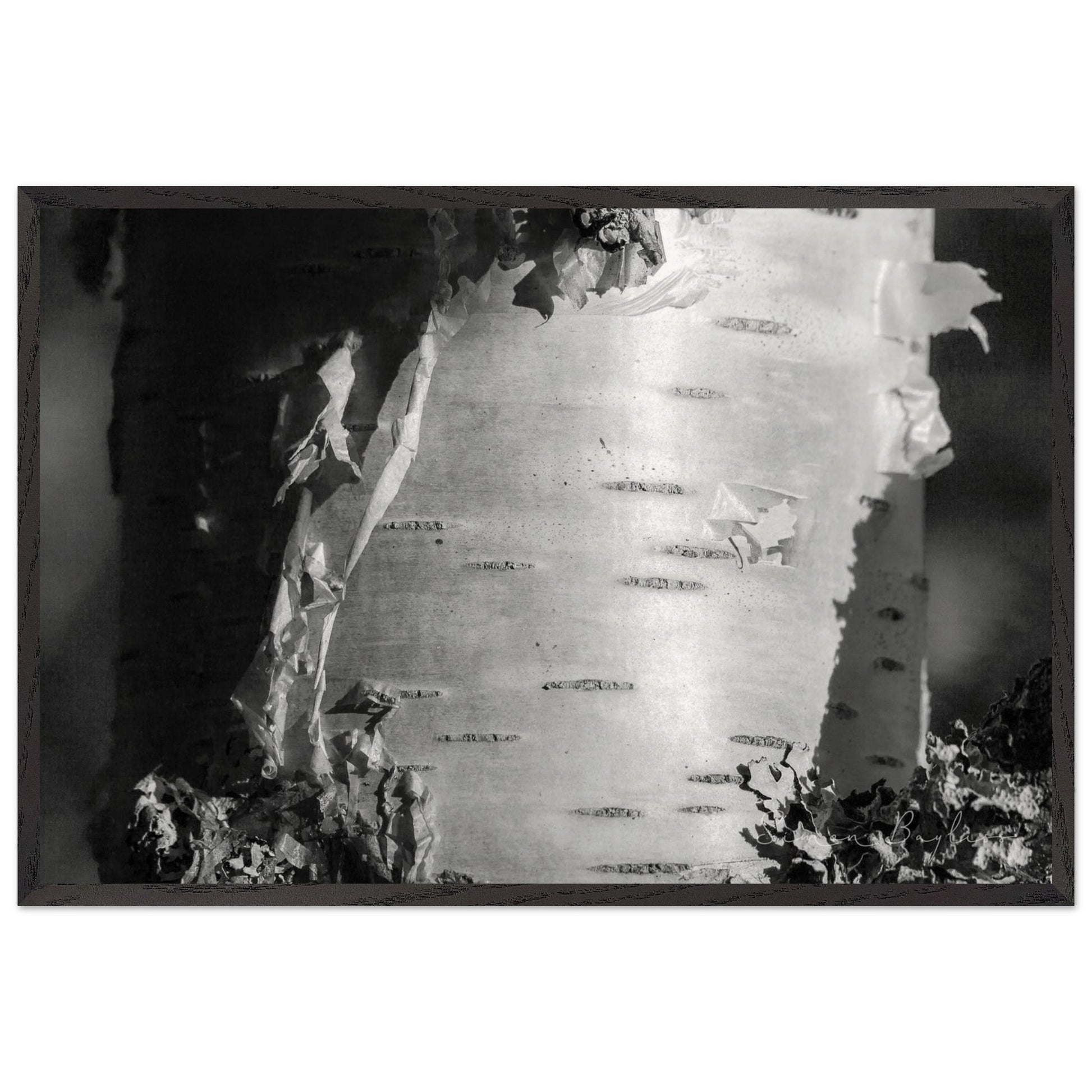 ca3b7eb3-4b55-4aaa-8842-50446e552a64