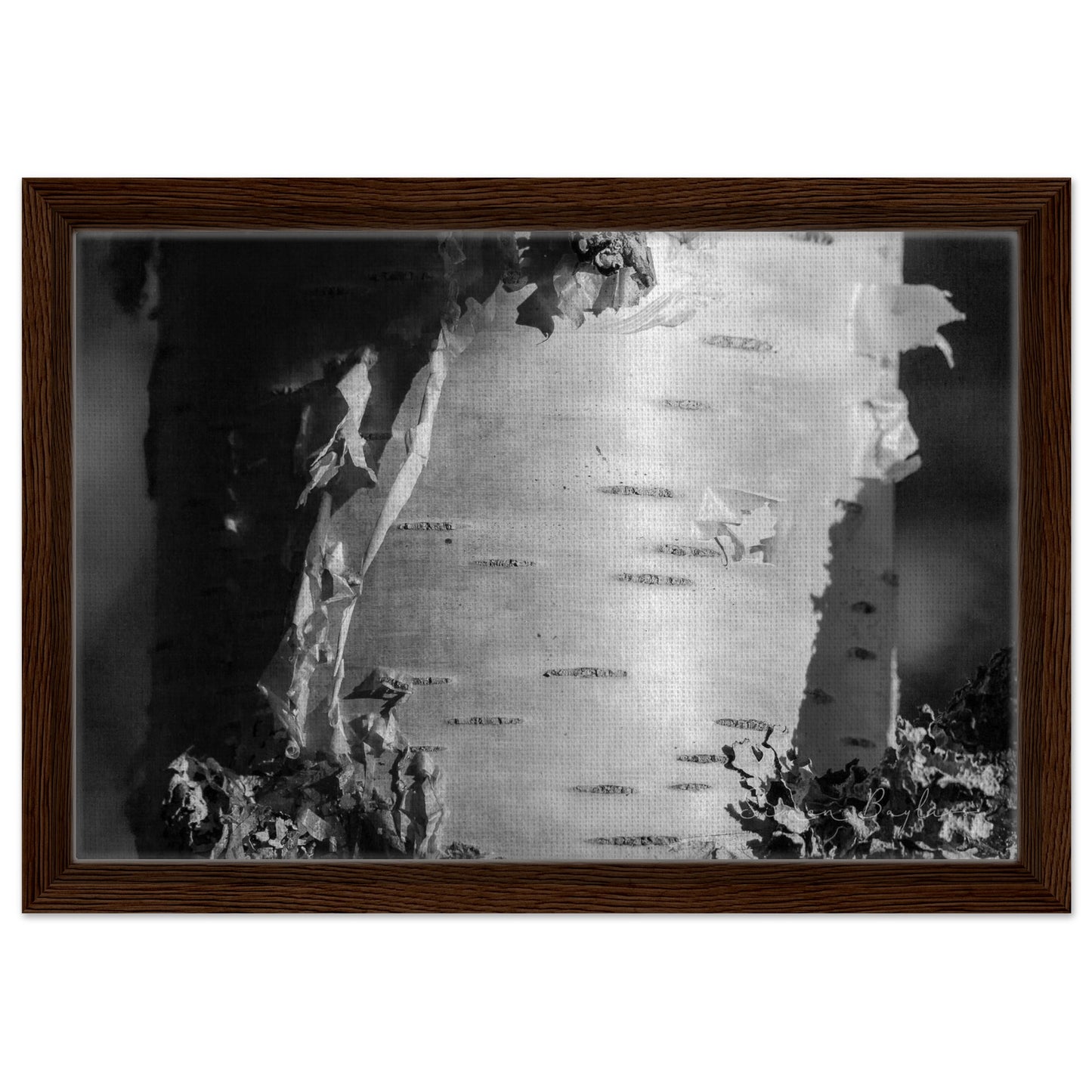 ca85eac9-cb3d-4bac-8257-d15483d6792e