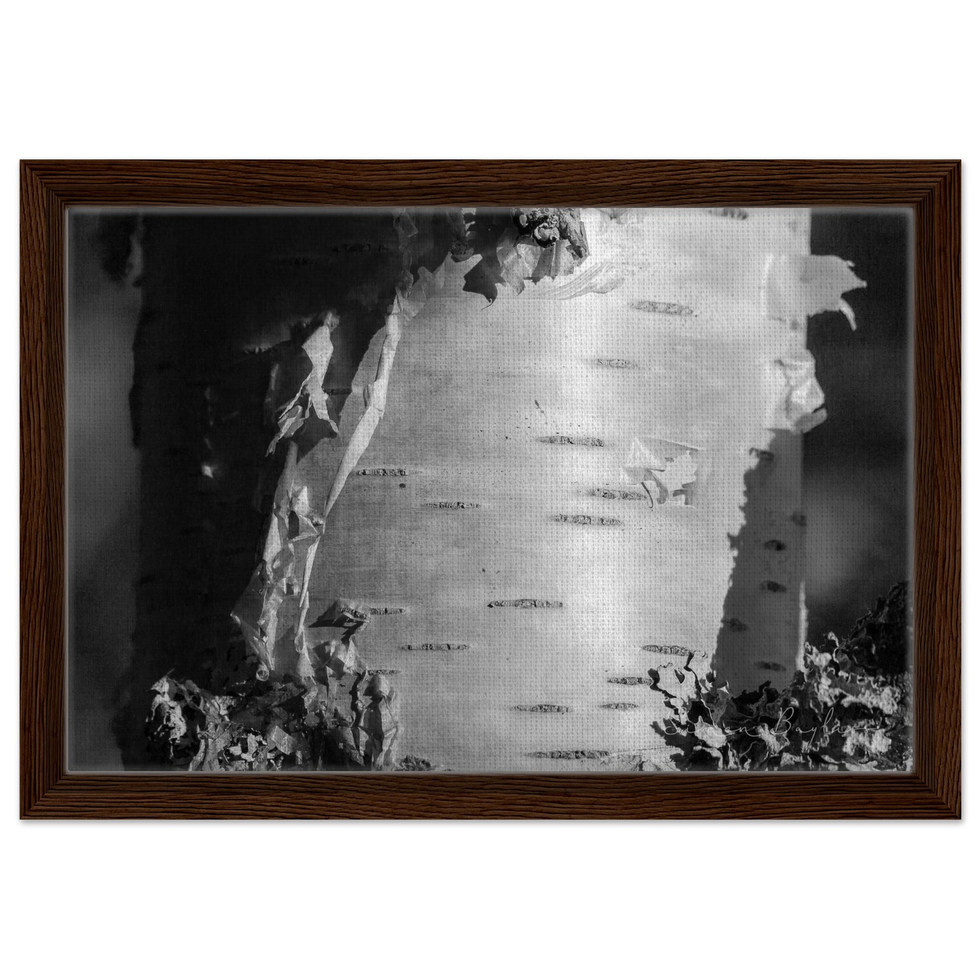 ca85eac9-cb3d-4bac-8257-d15483d6792e