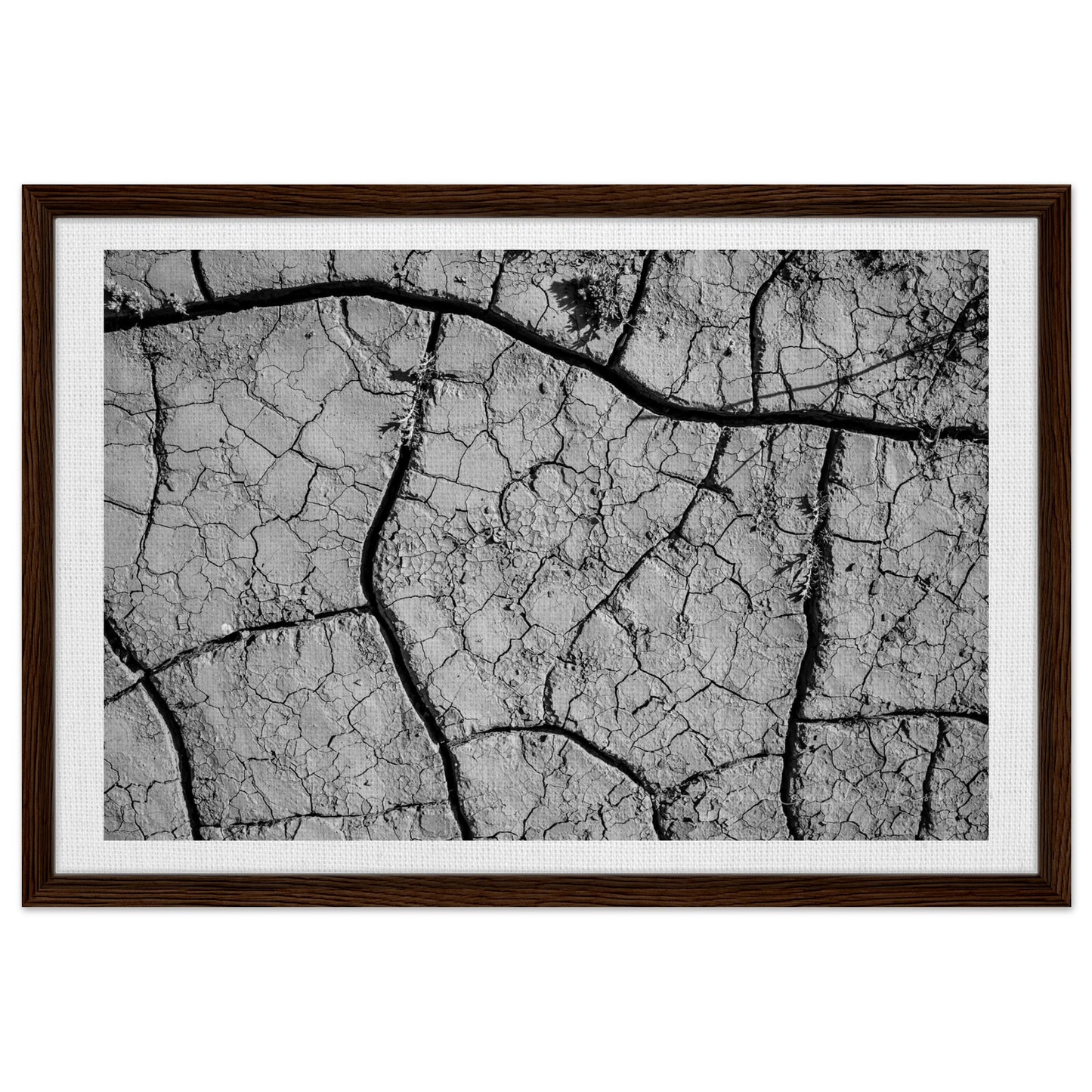 caa69071-58fe-48dc-aea4-771a09940eb8