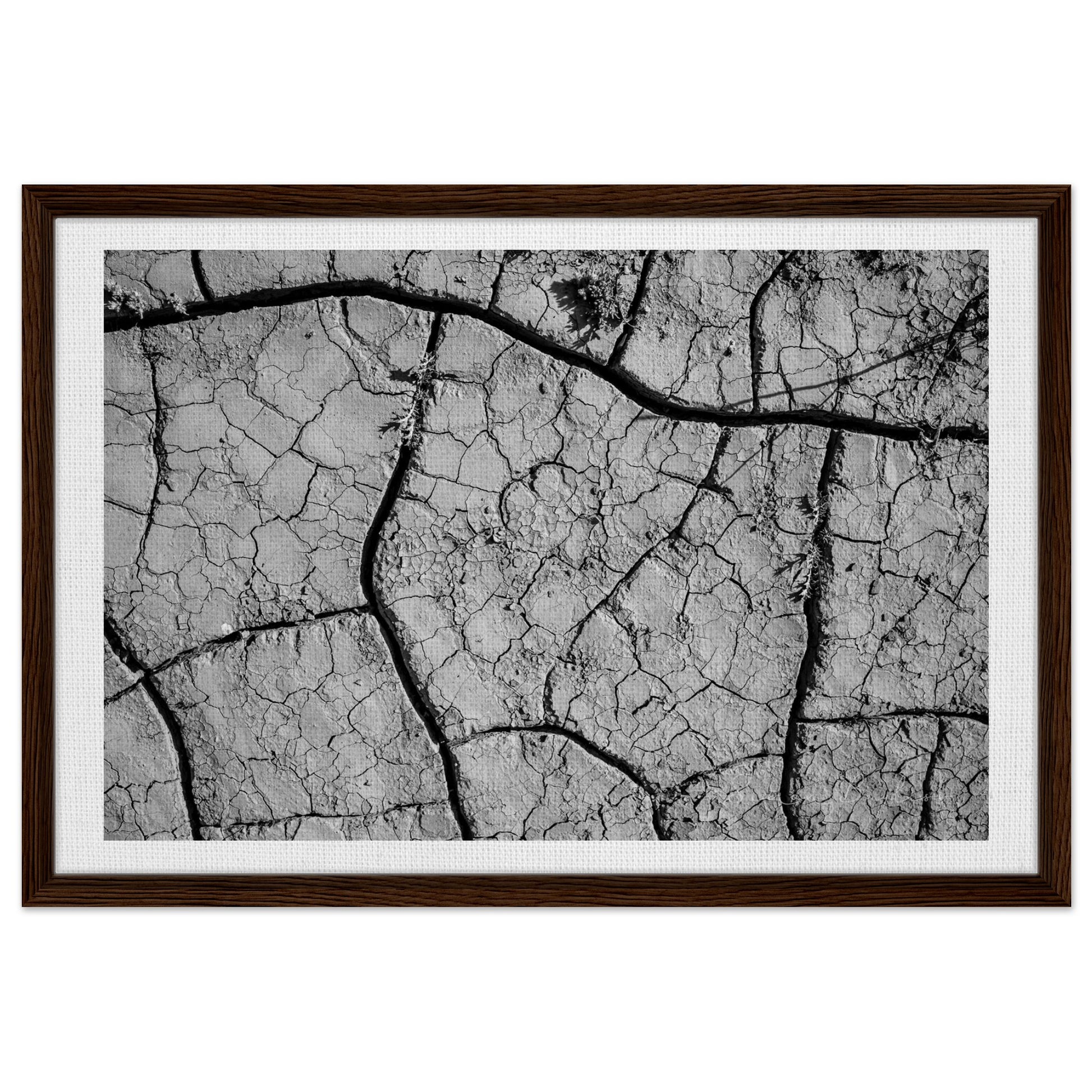 caa69071-58fe-48dc-aea4-771a09940eb8