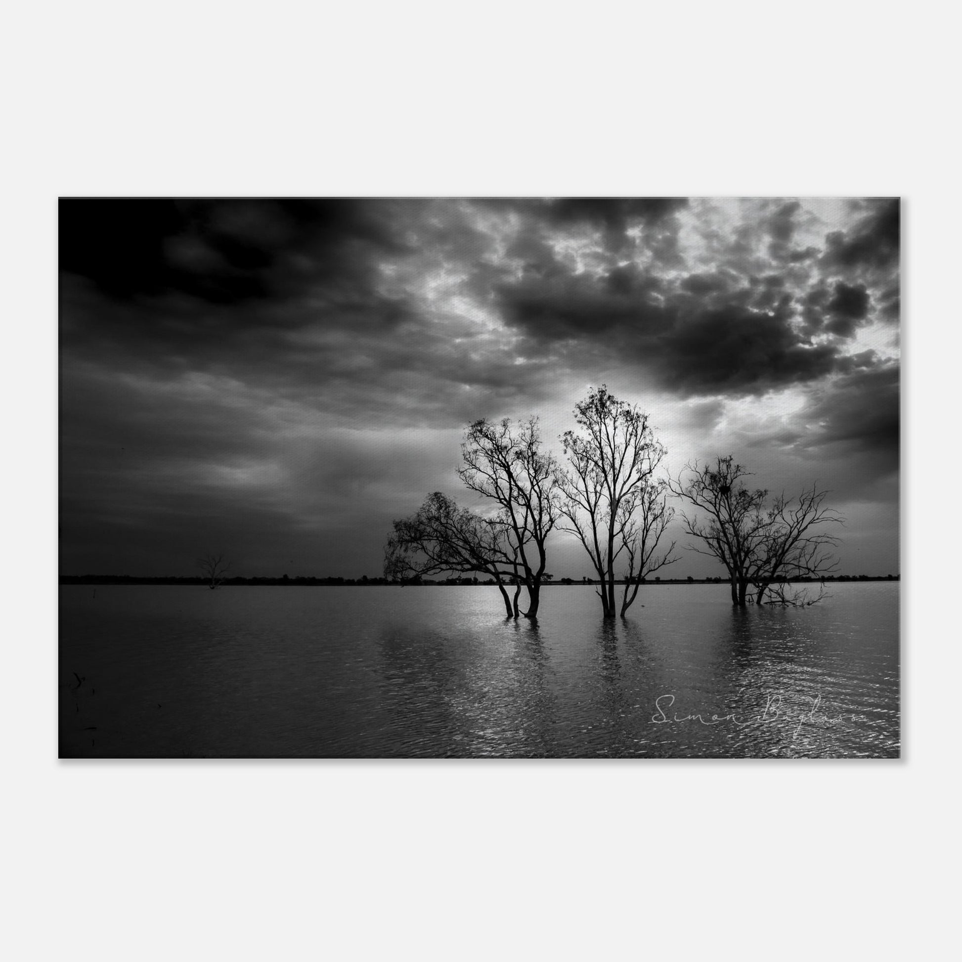 cadd4d25-2789-48cd-a136-a3c641321df4