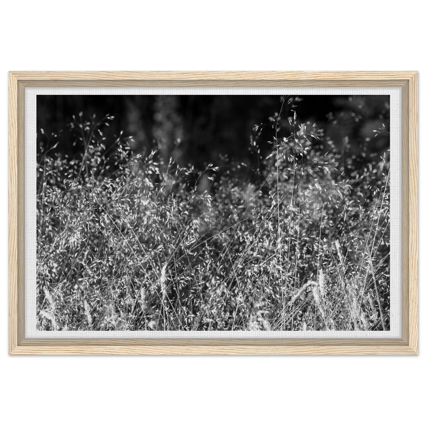 cae0ec30-b7da-4c48-85e0-00a7b59de616