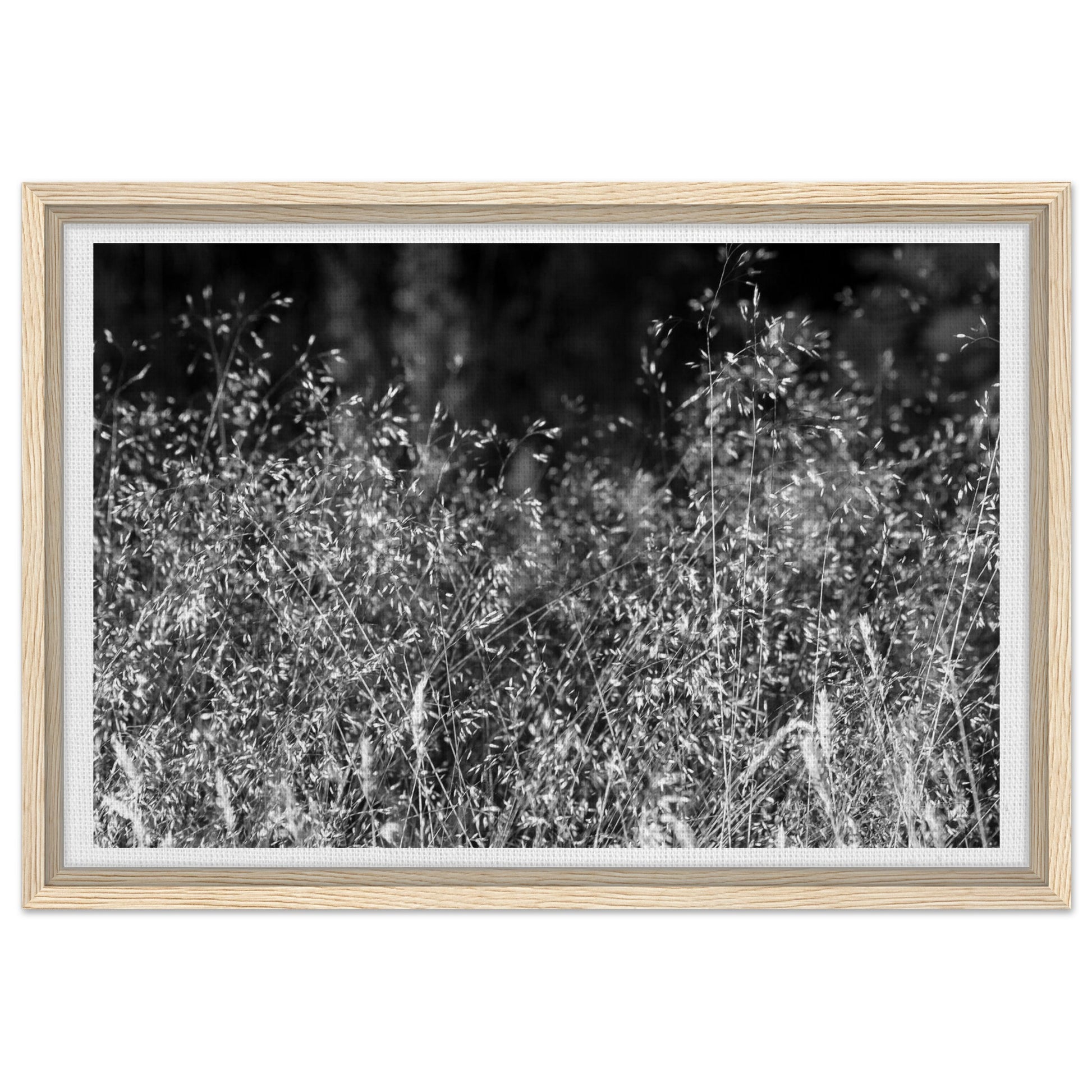 cae0ec30-b7da-4c48-85e0-00a7b59de616