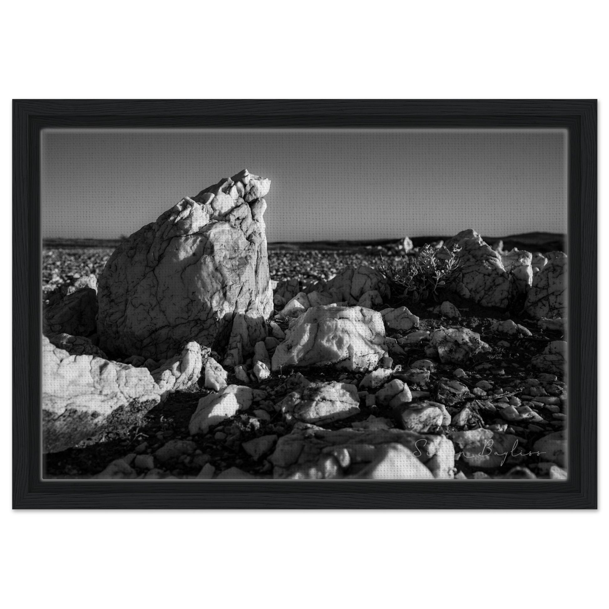 cc3326cc-c4e1-4d7d-bc12-542e487f09bb