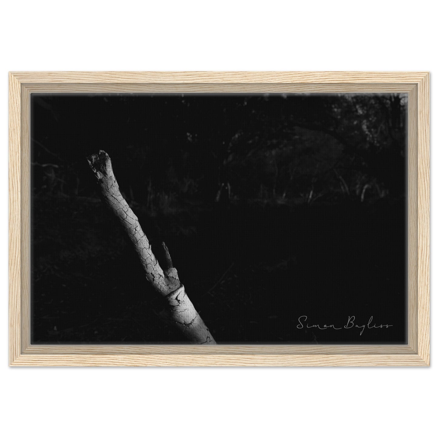 cd1b488c-dac5-4bc3-bc24-fa36b2c9b20a