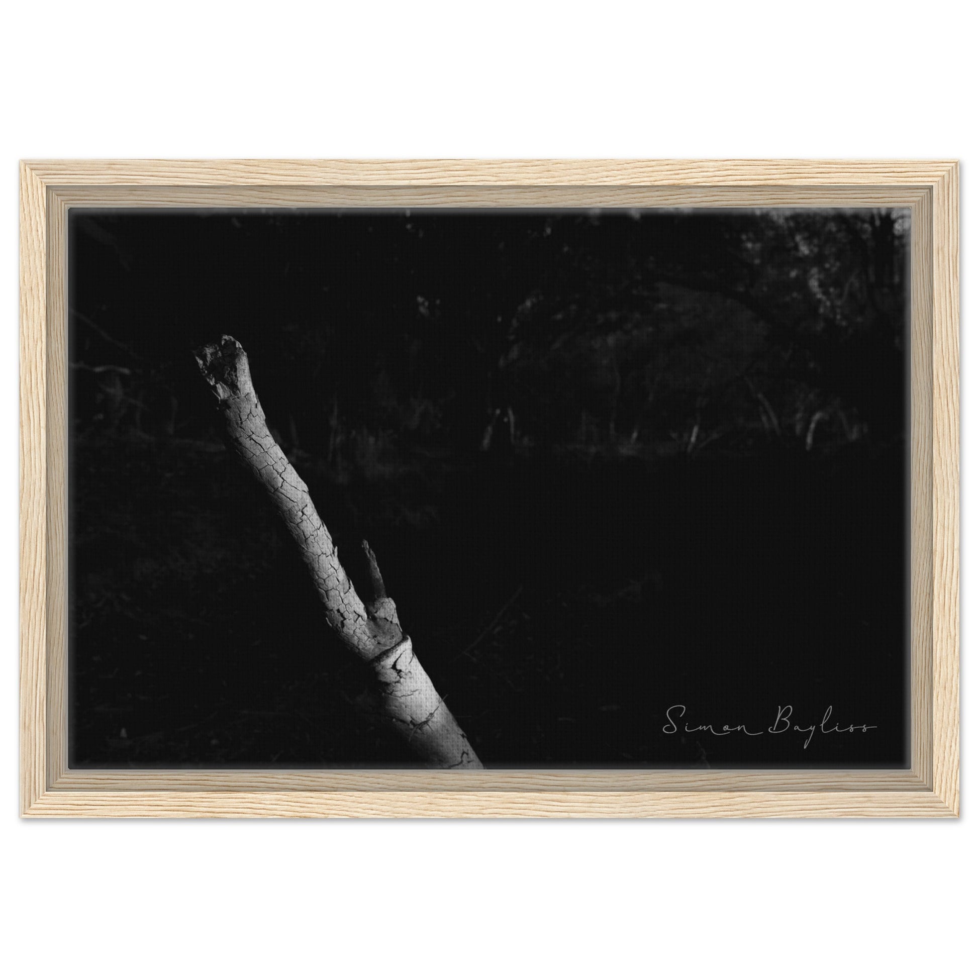 cd1b488c-dac5-4bc3-bc24-fa36b2c9b20a