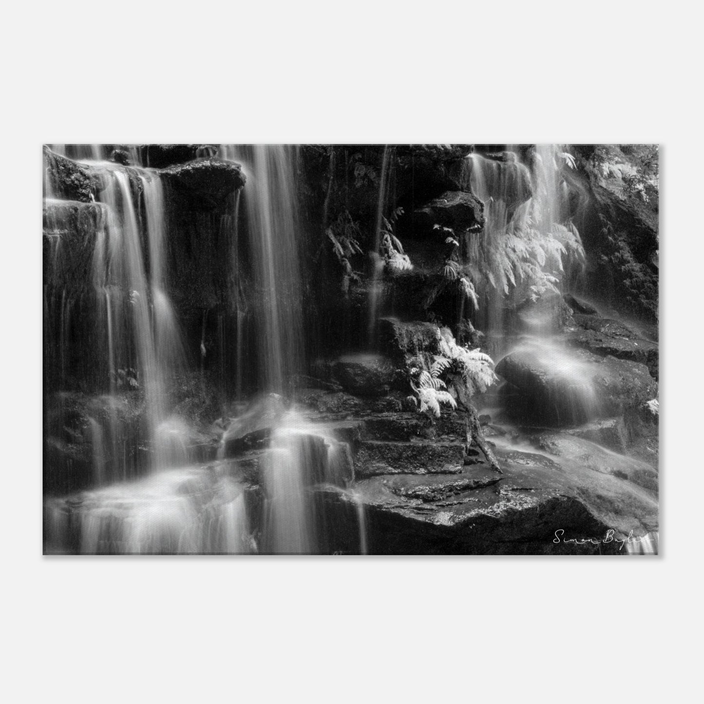 cdc74f53-61c6-4463-b799-f9a16e4e5626