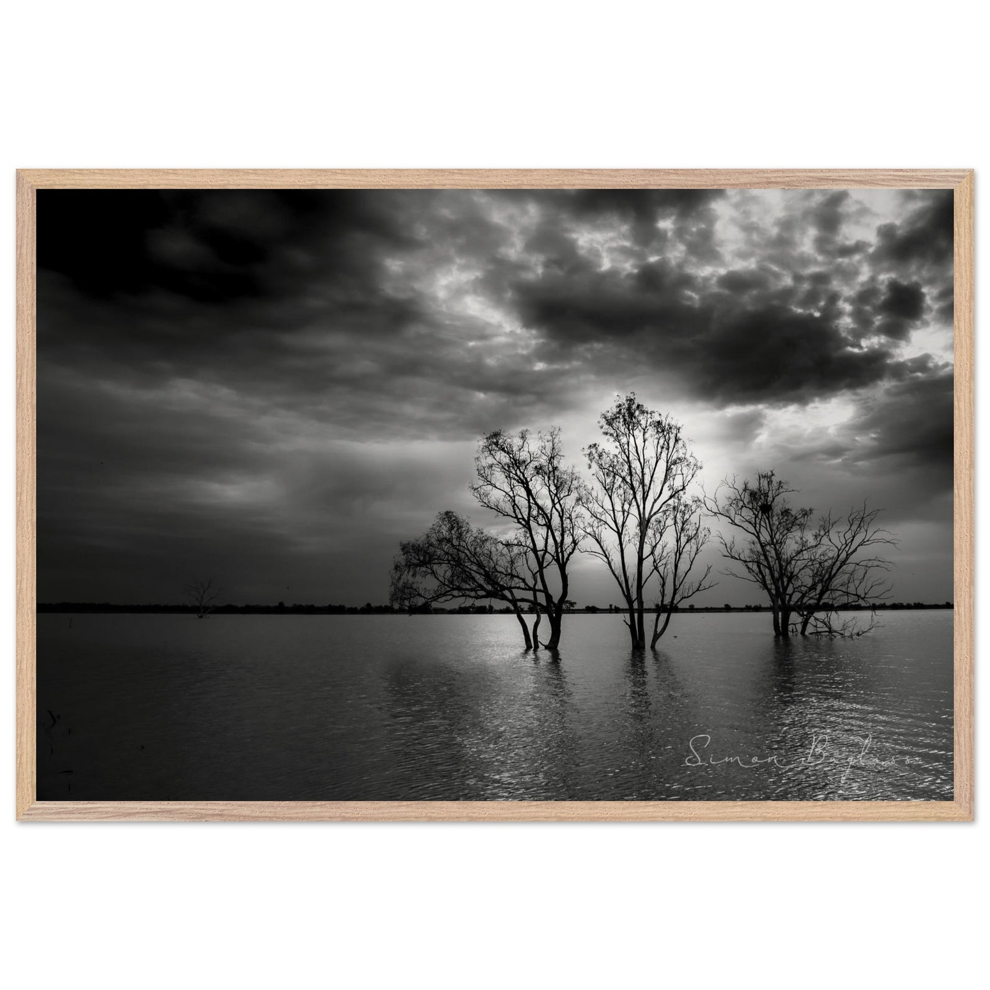 cdeead1a-22e9-452d-9324-debffea30f49