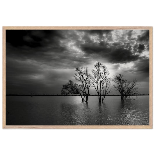 cdeead1a-22e9-452d-9324-debffea30f49