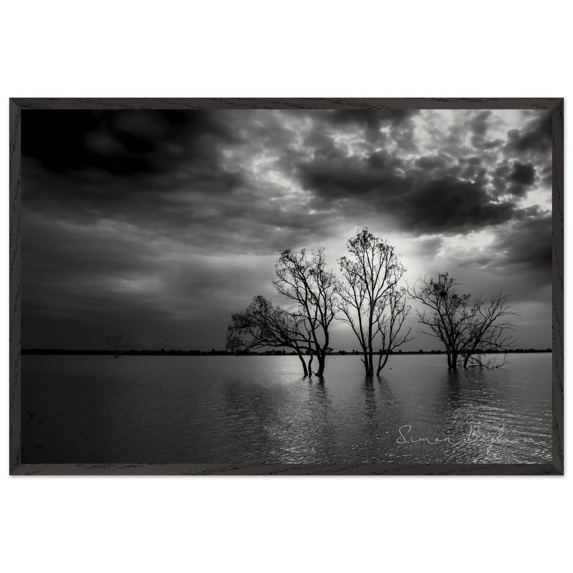 ce2ba9cf-ddd4-4f73-ba79-ee773d323082