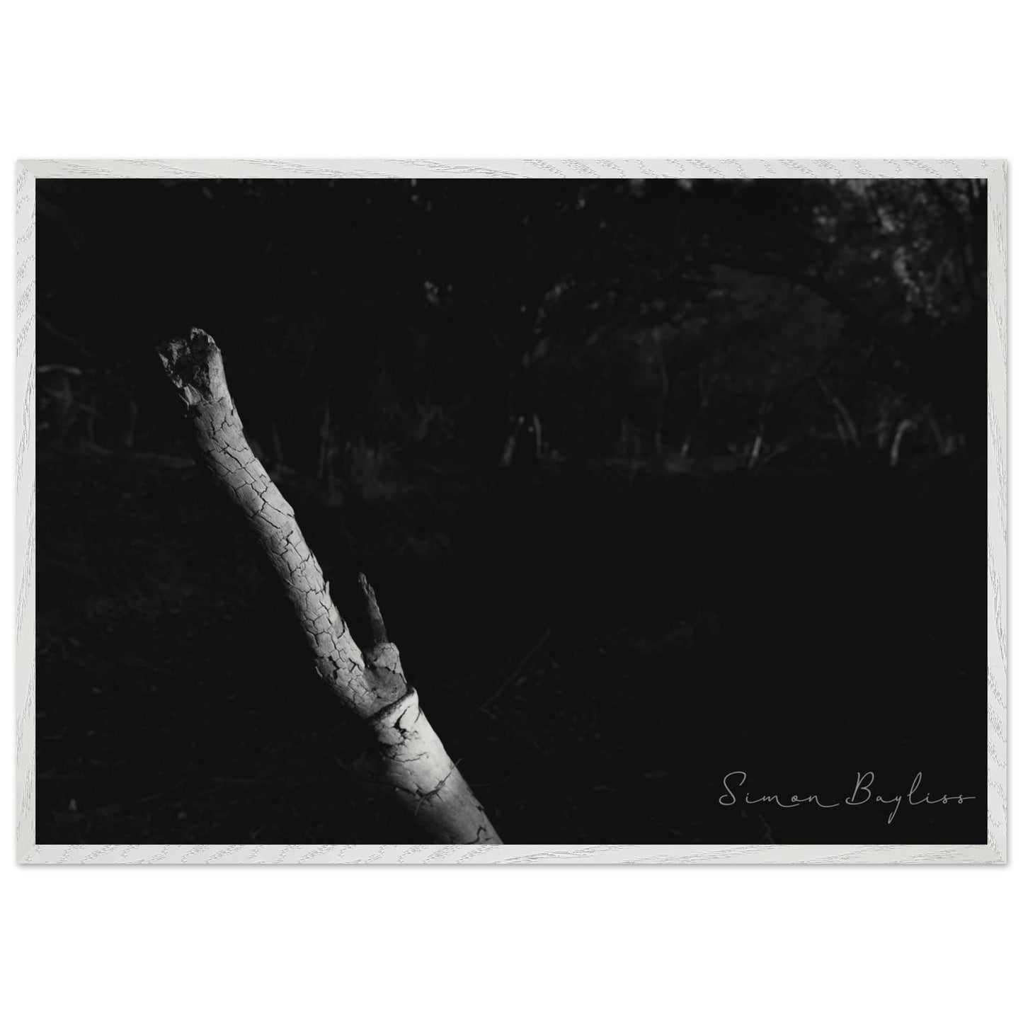 ceb4f4d6-c880-4385-ab61-fabf0e115c24