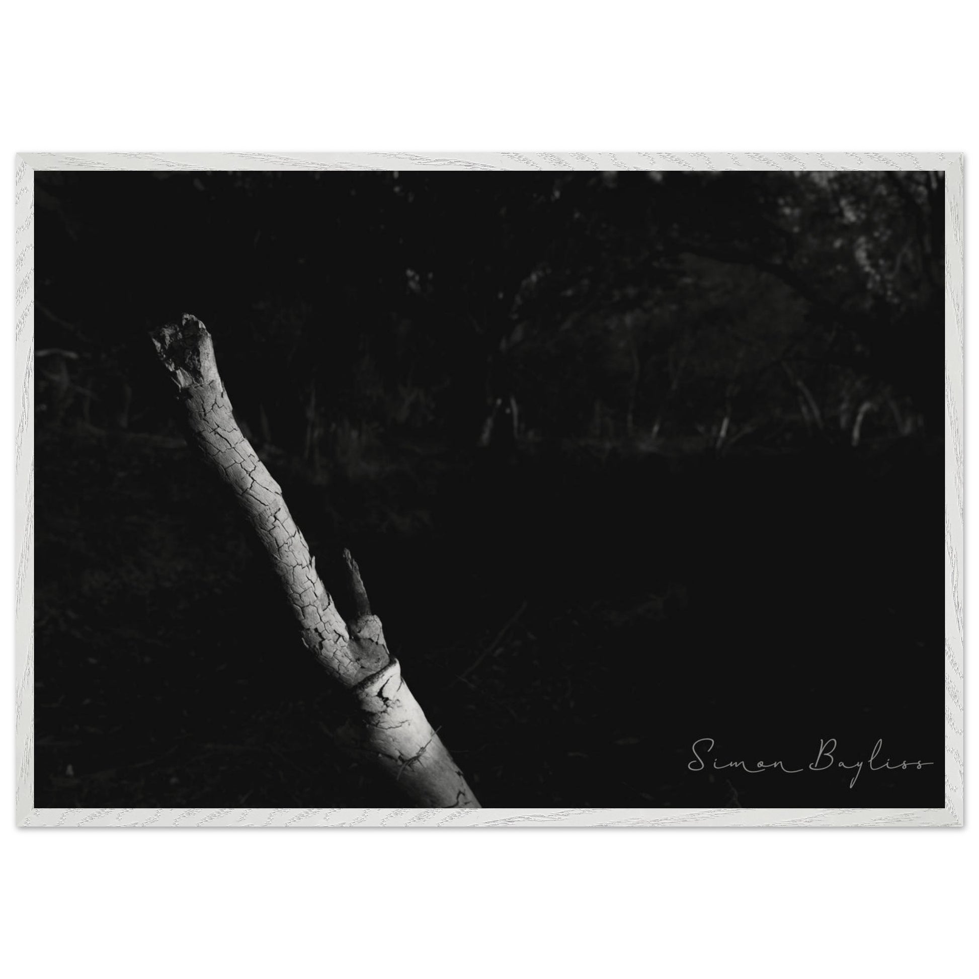 ceb4f4d6-c880-4385-ab61-fabf0e115c24