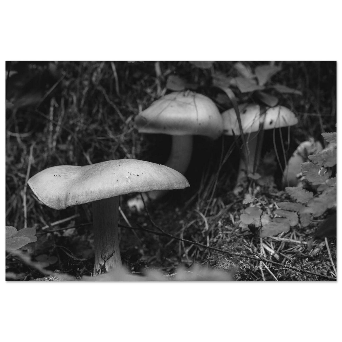 cec49262-0567-4c8d-abed-3cc1193fd7a3