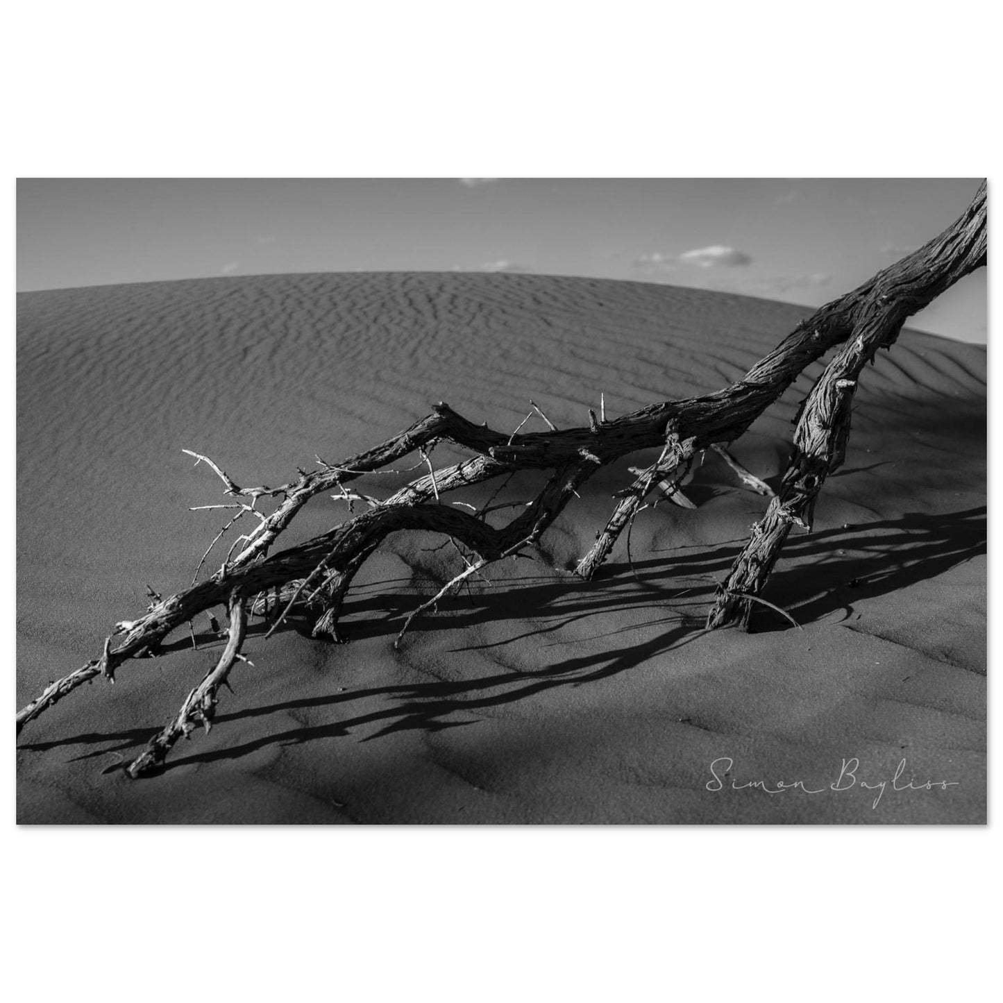 cec5c6b2-d5ec-4eca-bcf8-bd97df3eabf4