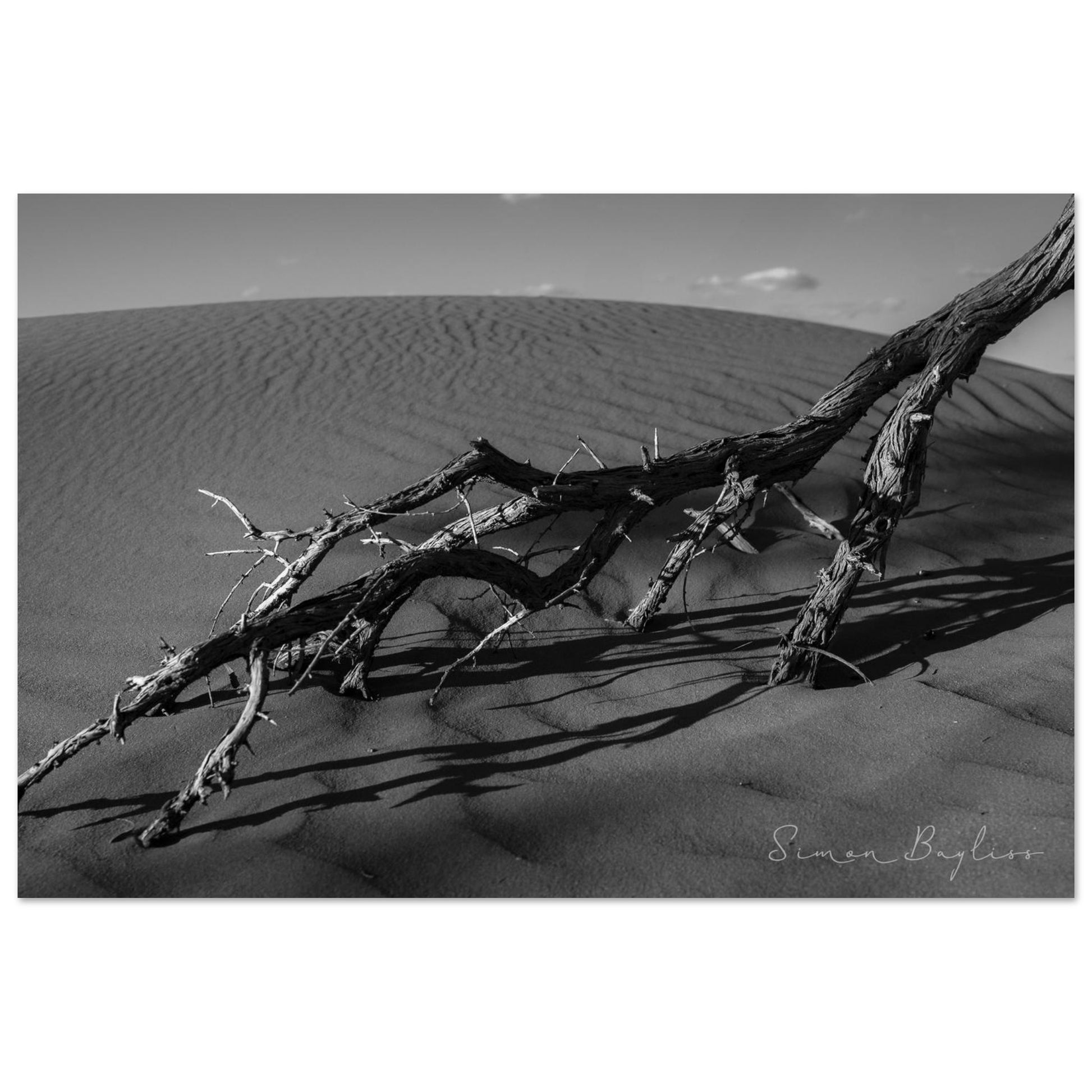 cec5c6b2-d5ec-4eca-bcf8-bd97df3eabf4