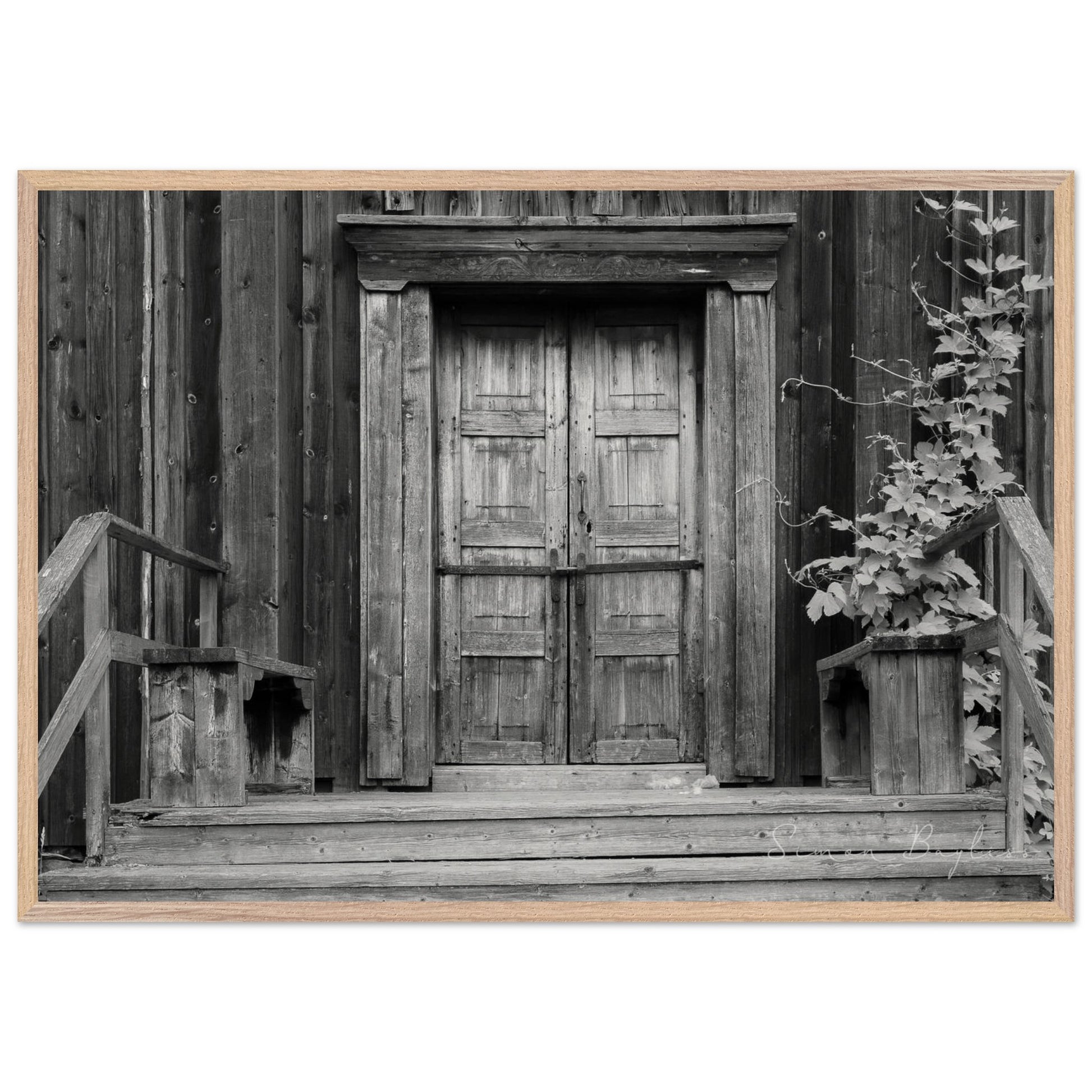 cee658a7-3858-492f-aec3-9ed132d1ffe1