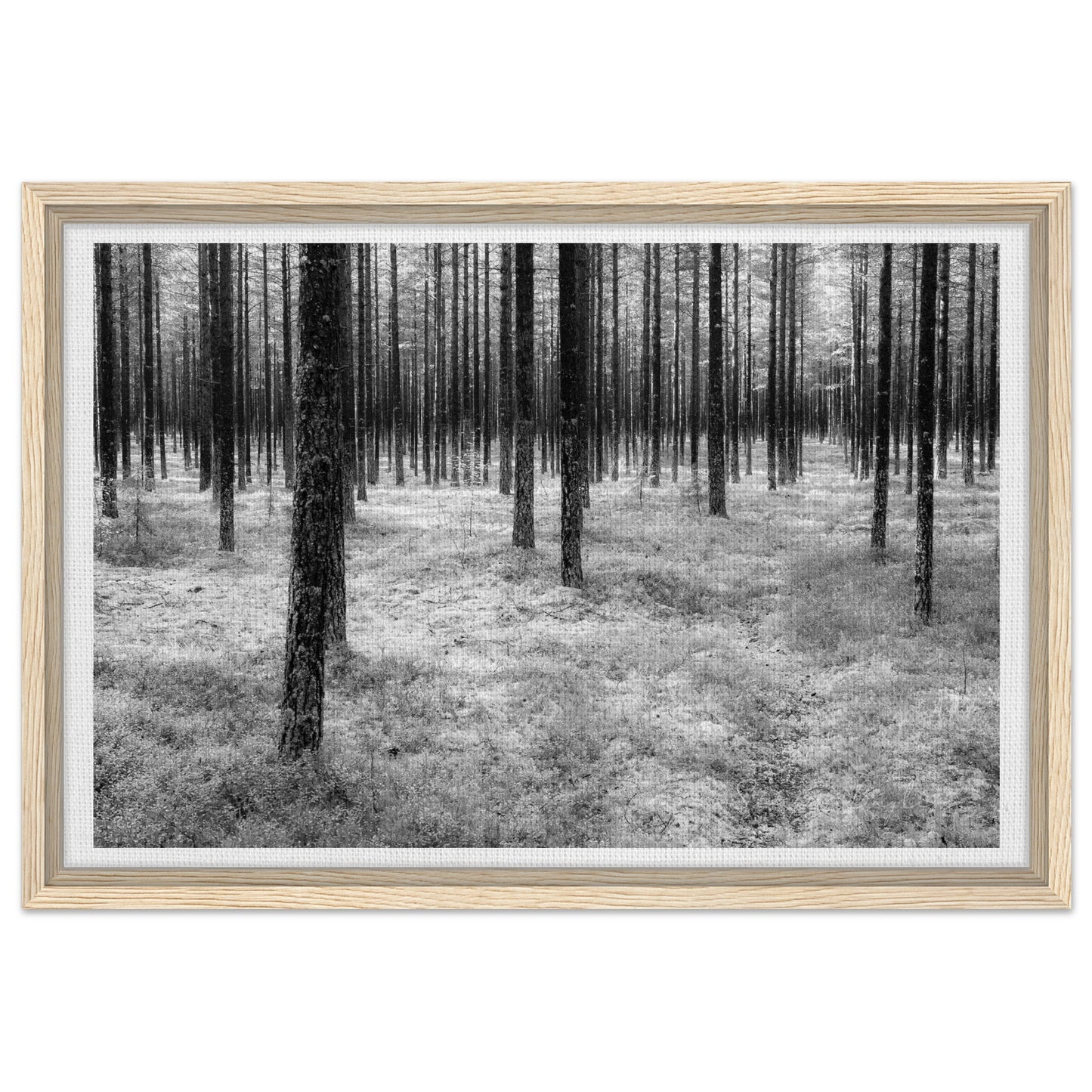 cf0af419-d76f-442b-8f84-e8eda1cd2128